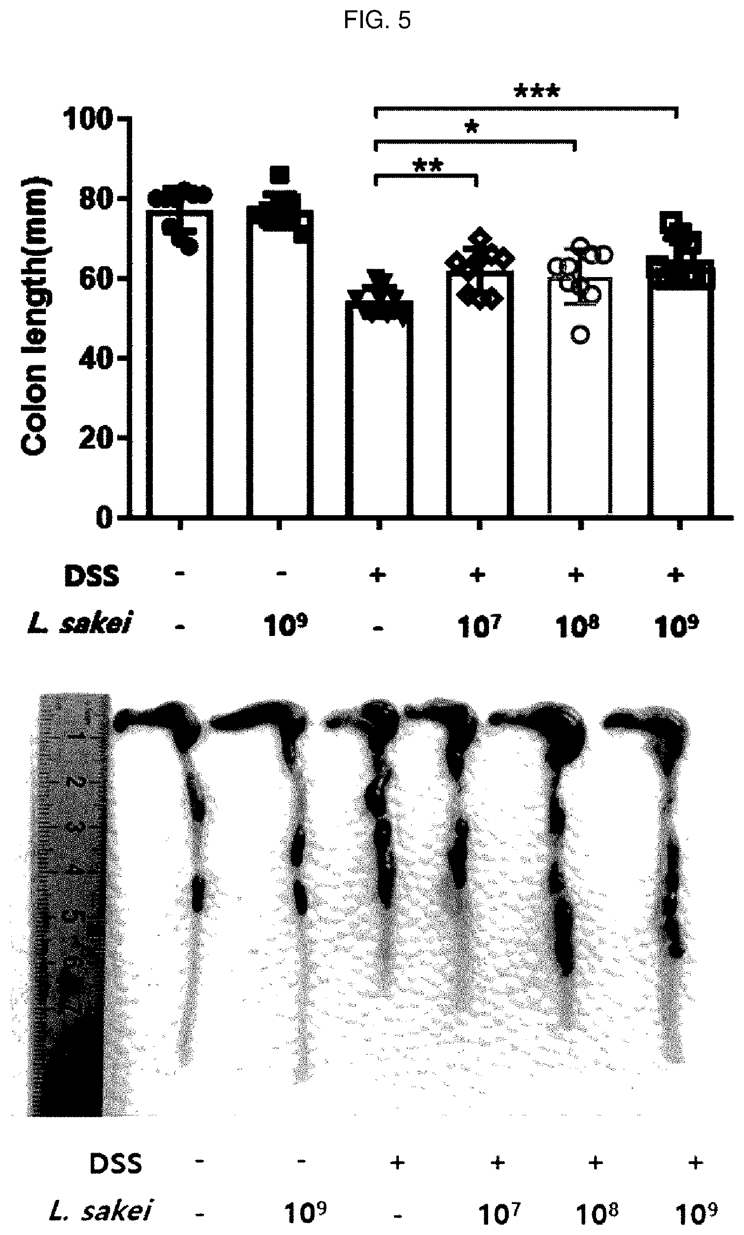 Patent US12496319 Figure 5 – Inflammatory diseases, comprising Lactobacillus sakei CVL-001 strain