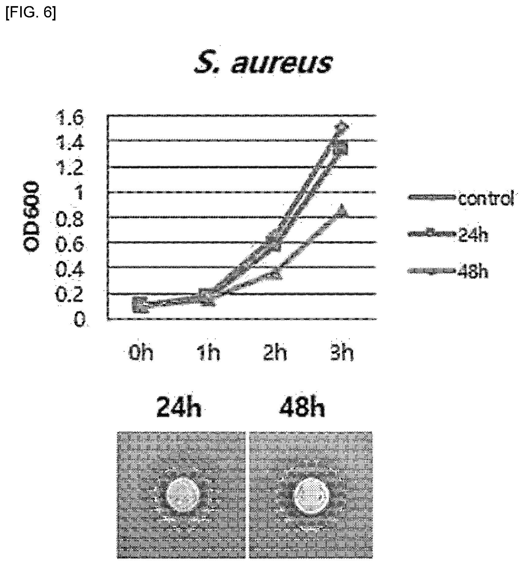Patent US12496320 Figure 5 – Lactobacillus sp. strain and use thereof