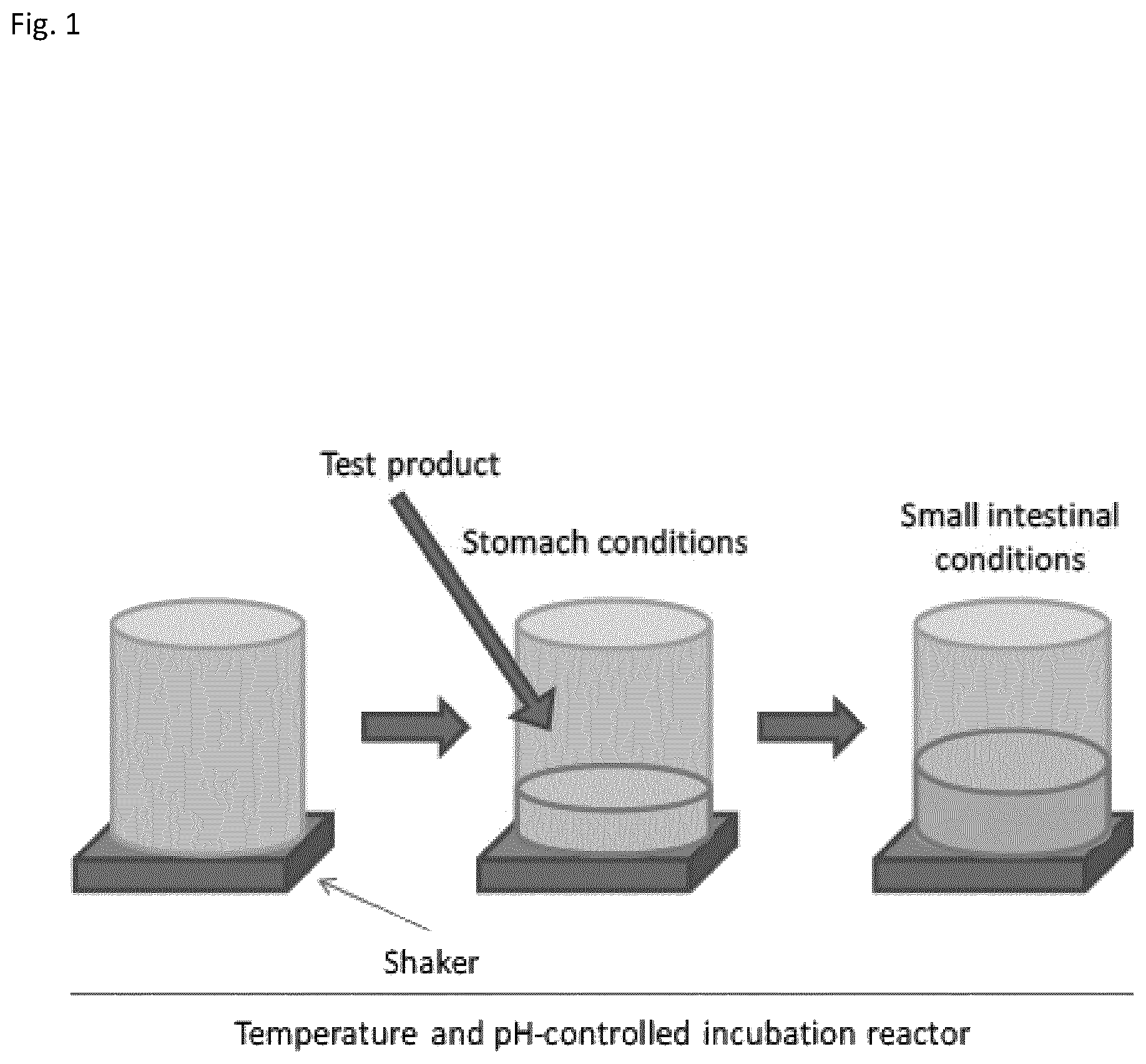 Patent US12496324 Figure 1 – Insoluble fibre fermentability and short chain fatty acid production by Bifidobacterium longum