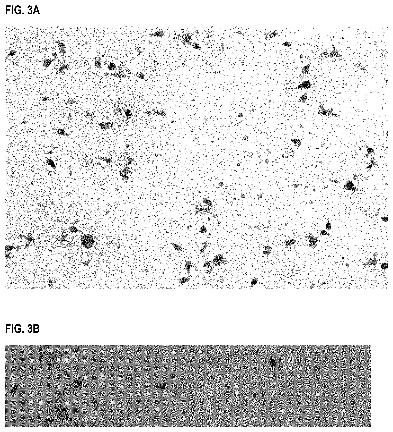 Patent US12496325 Figure 3 – Okra extract as a substitute for cervical mucus