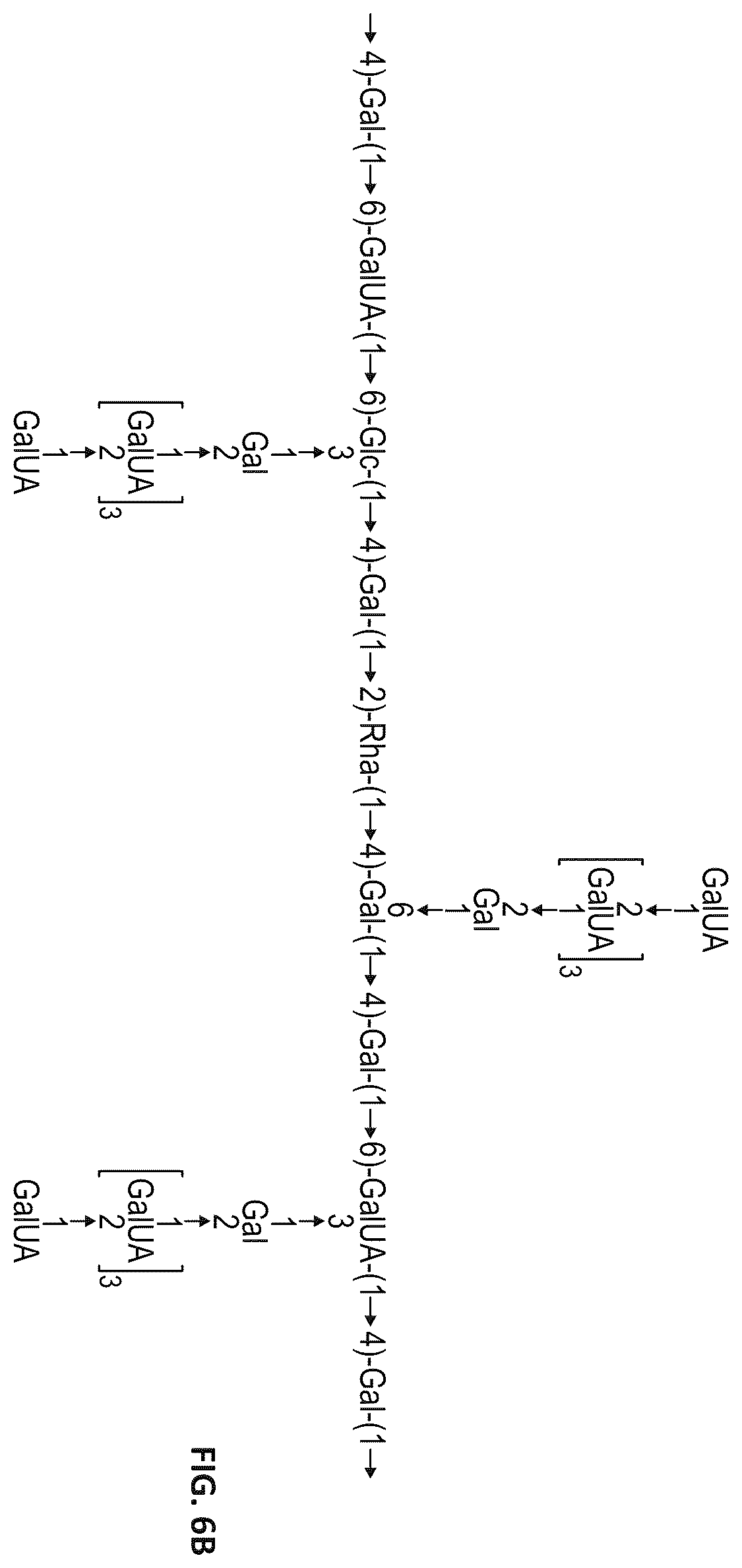 Patent US12496325 Figure 7 – Okra extract as a substitute for cervical mucus