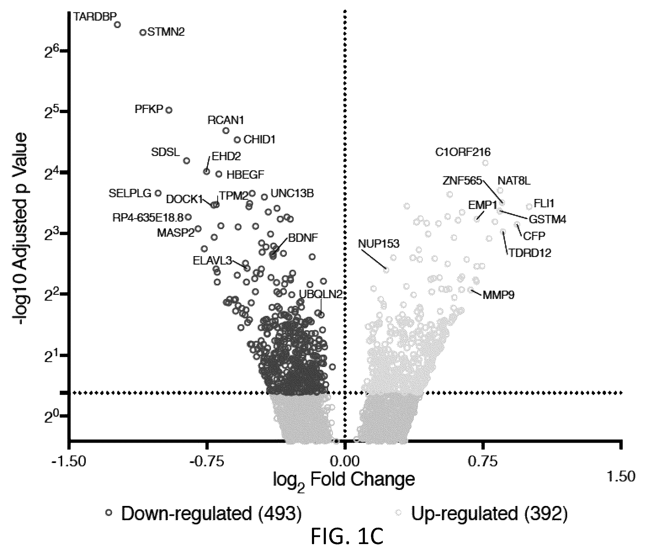 Patent US12496327 Figure 2 – Methods and compositions for restoring STMN2 levels