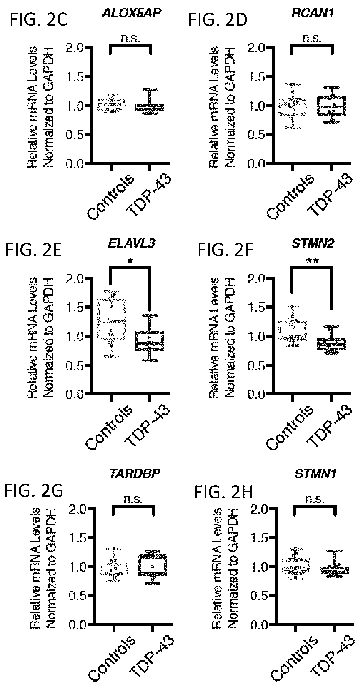 Patent US12496327 Figure 7 – Methods and compositions for restoring STMN2 levels