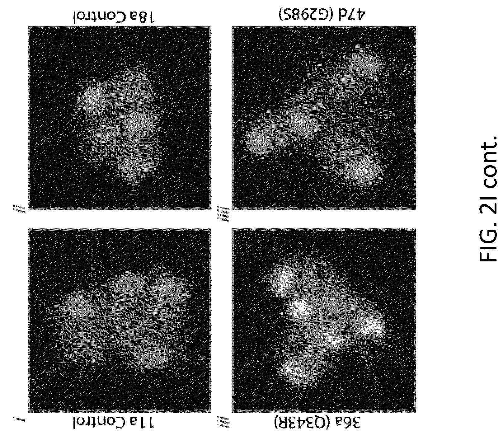 Patent US12496327 Figure 9 – Methods and compositions for restoring STMN2 levels