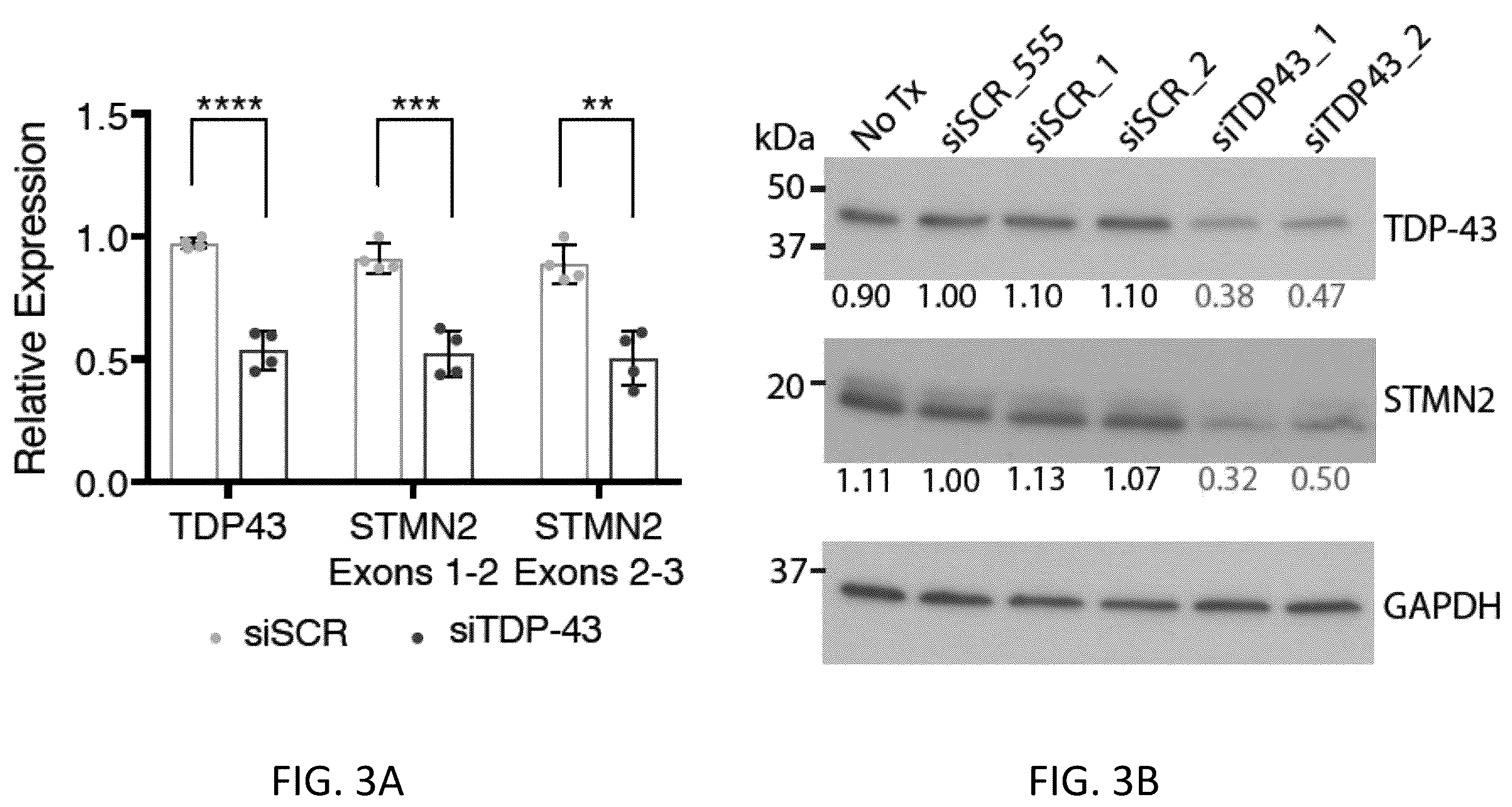 Patent US12496327 Figure 11 – Methods and compositions for restoring STMN2 levels