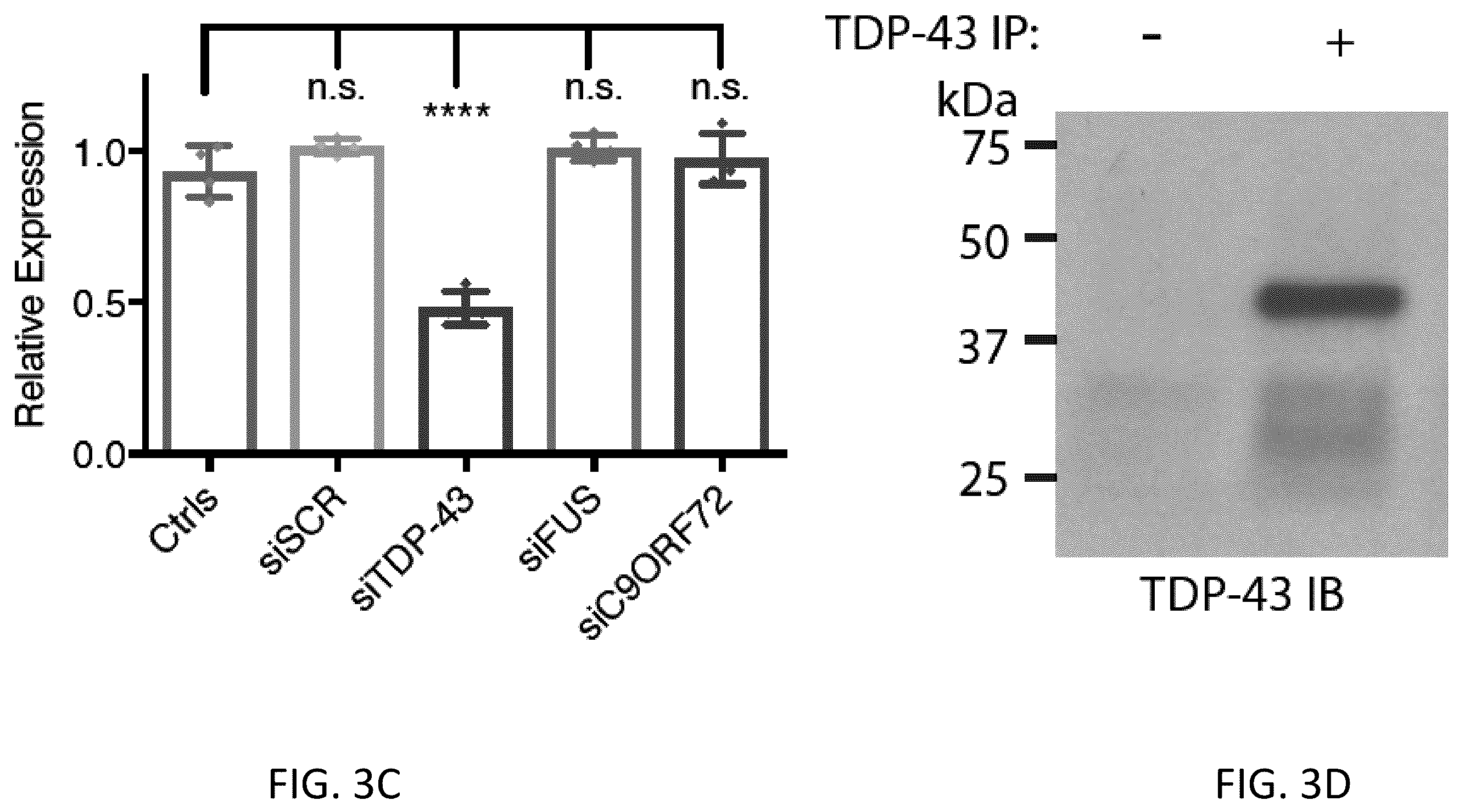 Patent US12496327 Figure 12 – Methods and compositions for restoring STMN2 levels