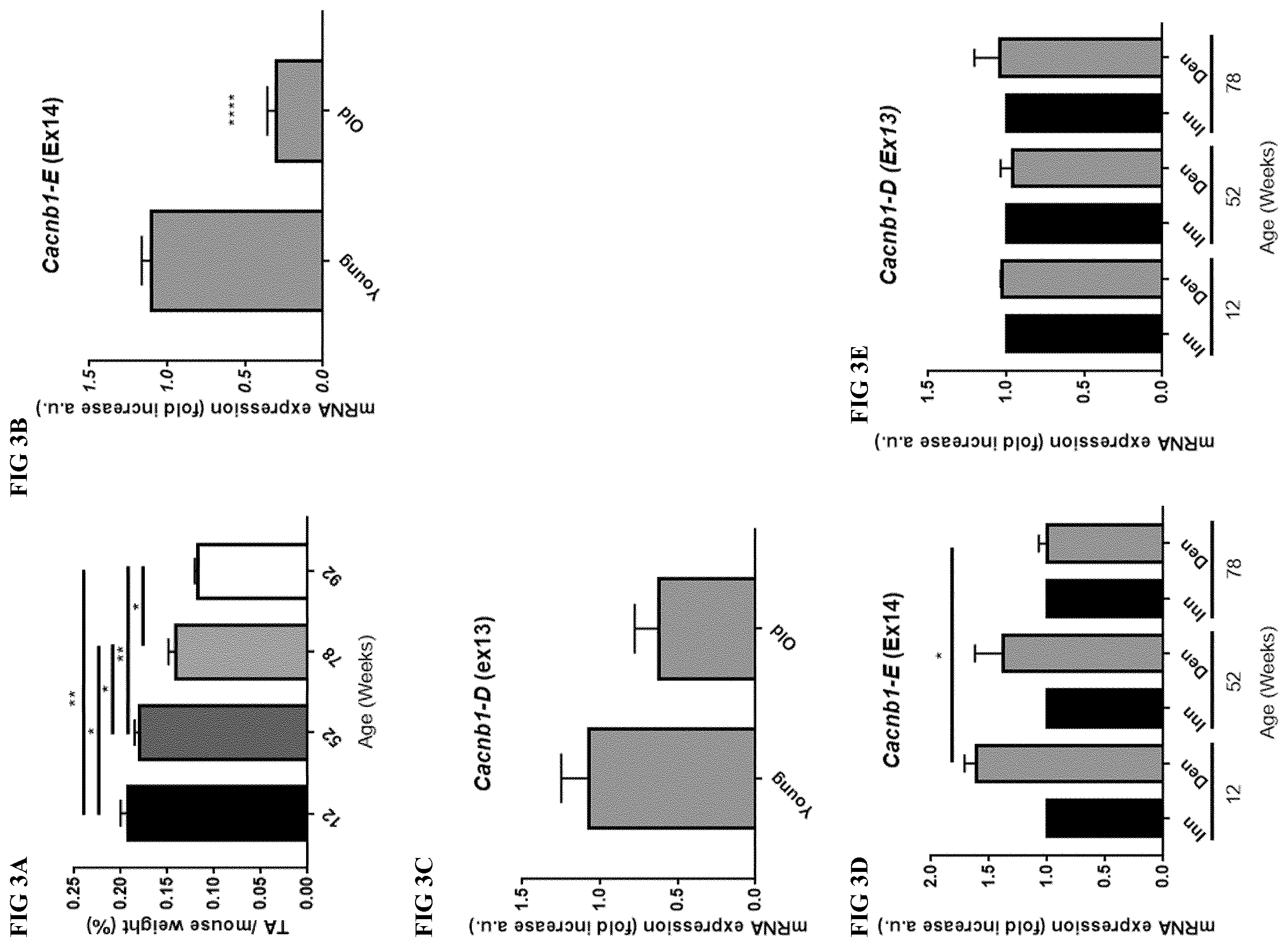 Patent US12496328 Figure 6 – Compositions for the treatment of sarcopenia or disuse atrophy