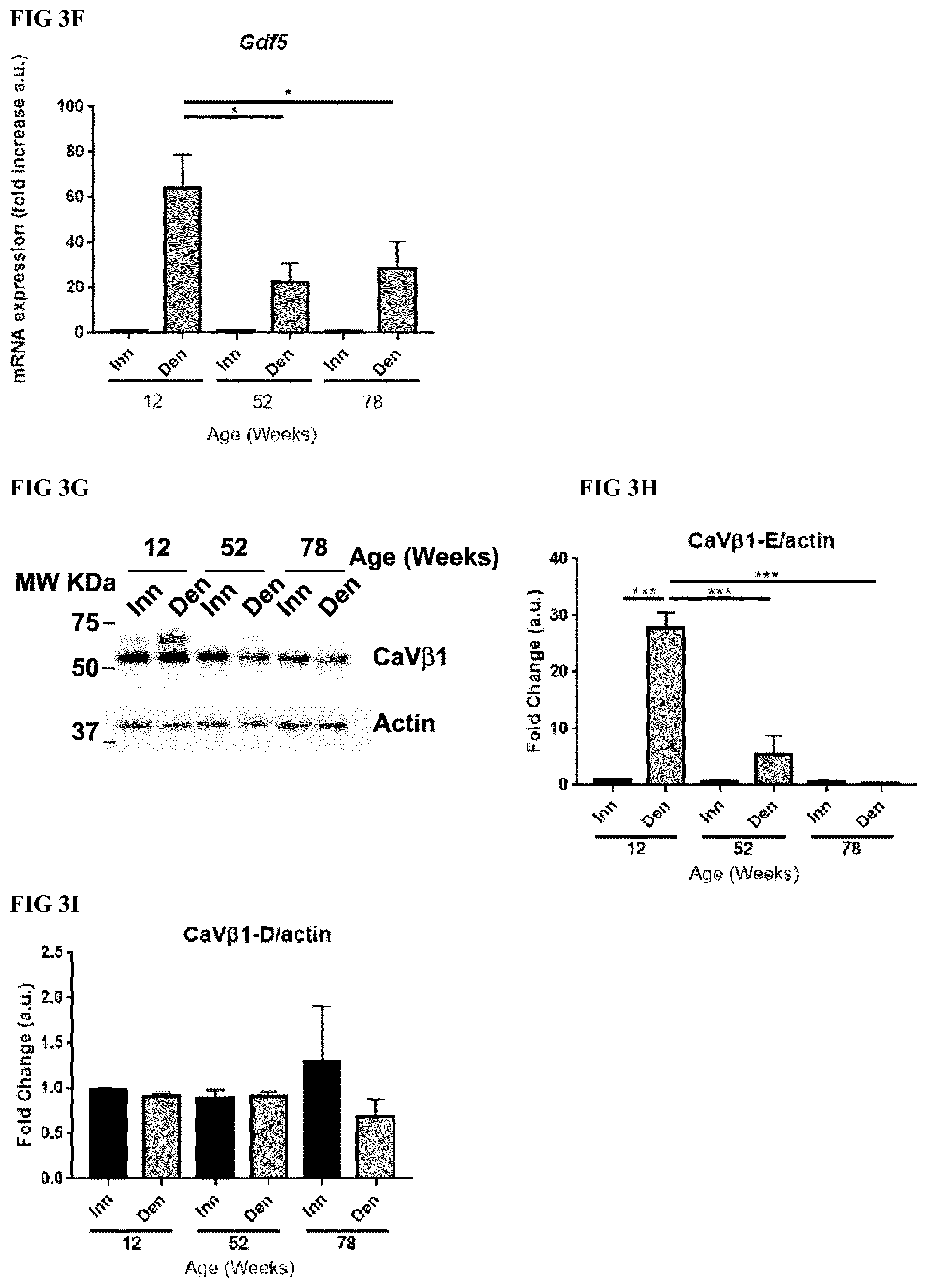 Patent US12496328 Figure 7 – Compositions for the treatment of sarcopenia or disuse atrophy