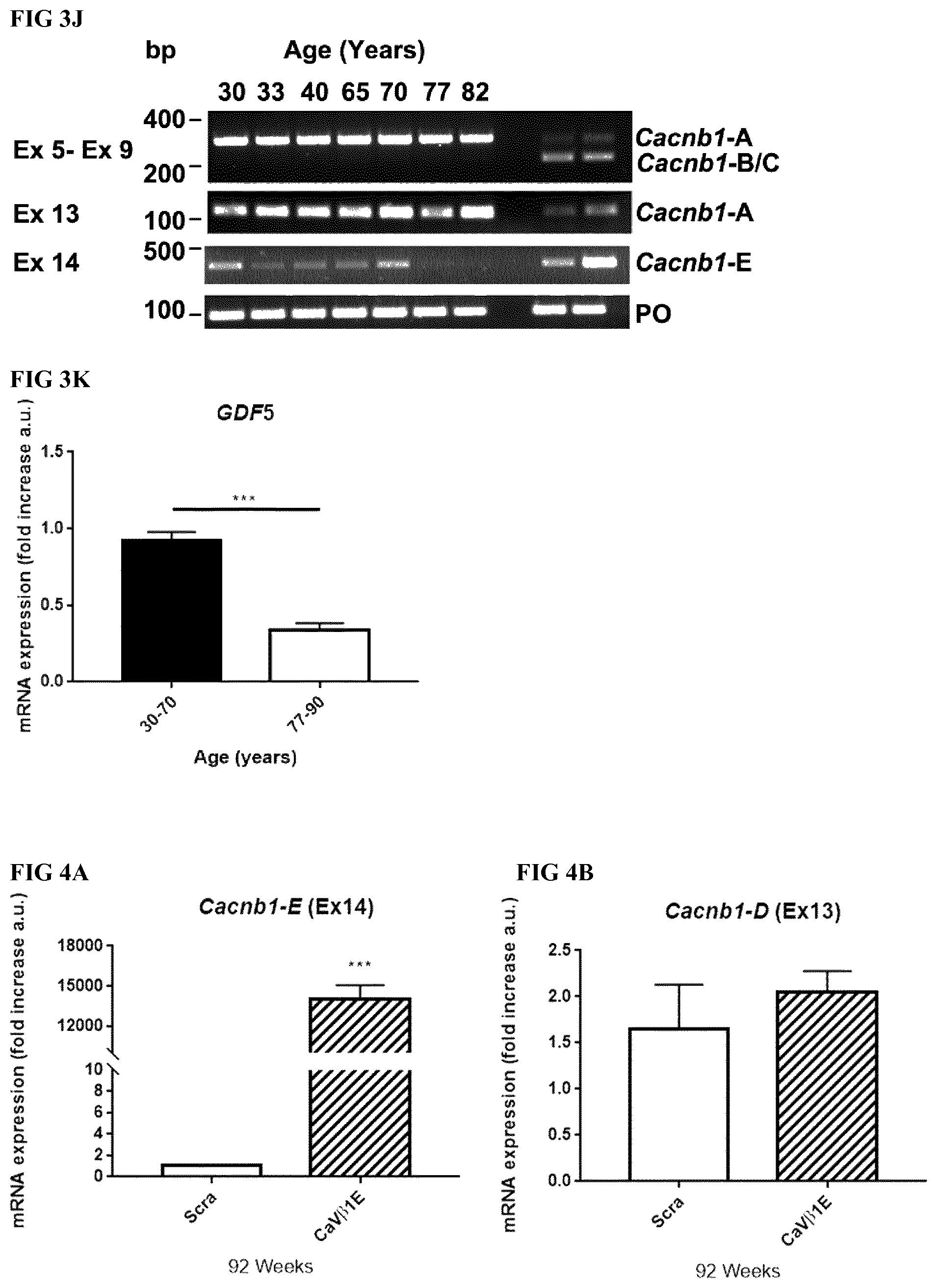 Patent US12496328 Figure 8 – Compositions for the treatment of sarcopenia or disuse atrophy