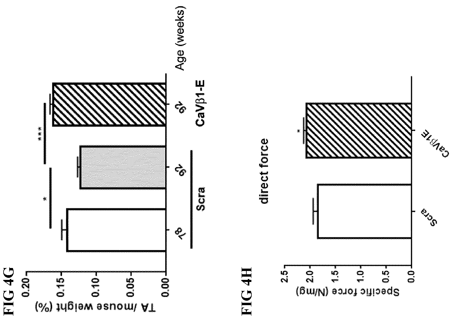 Patent US12496328 Figure 10 – Compositions for the treatment of sarcopenia or disuse atrophy