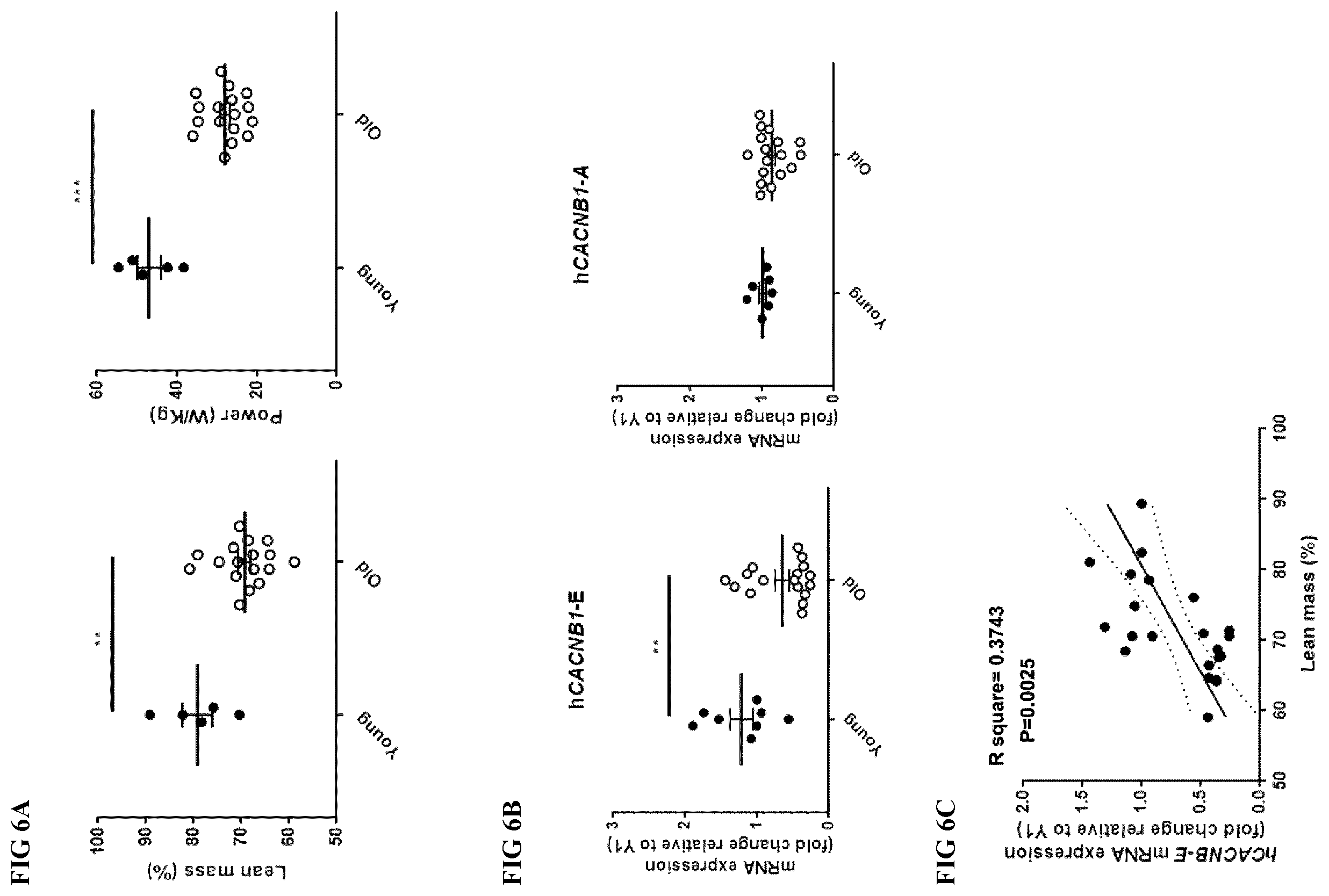 Patent US12496328 Figure 13 – Compositions for the treatment of sarcopenia or disuse atrophy