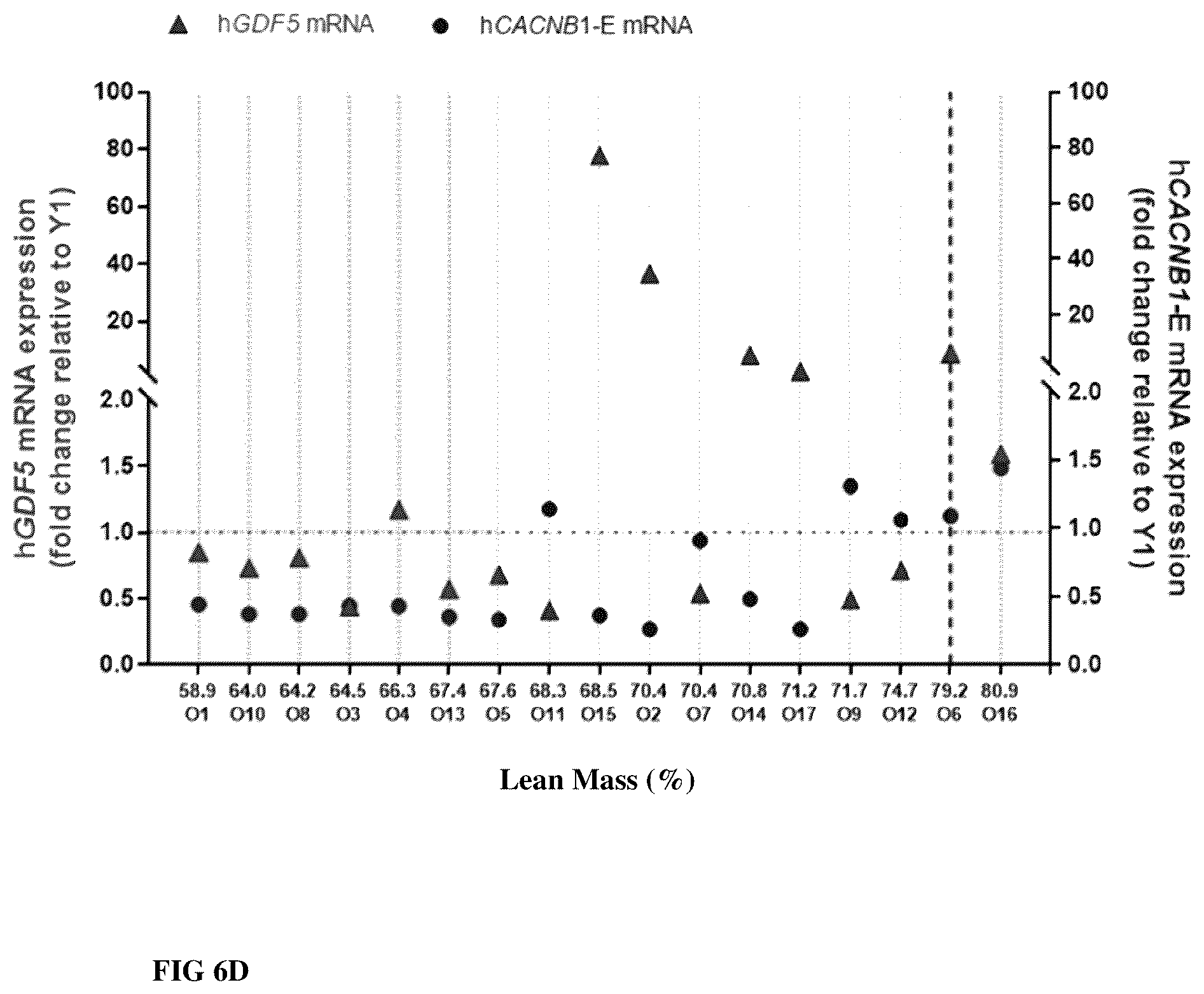 Patent US12496328 Figure 14 – Compositions for the treatment of sarcopenia or disuse atrophy