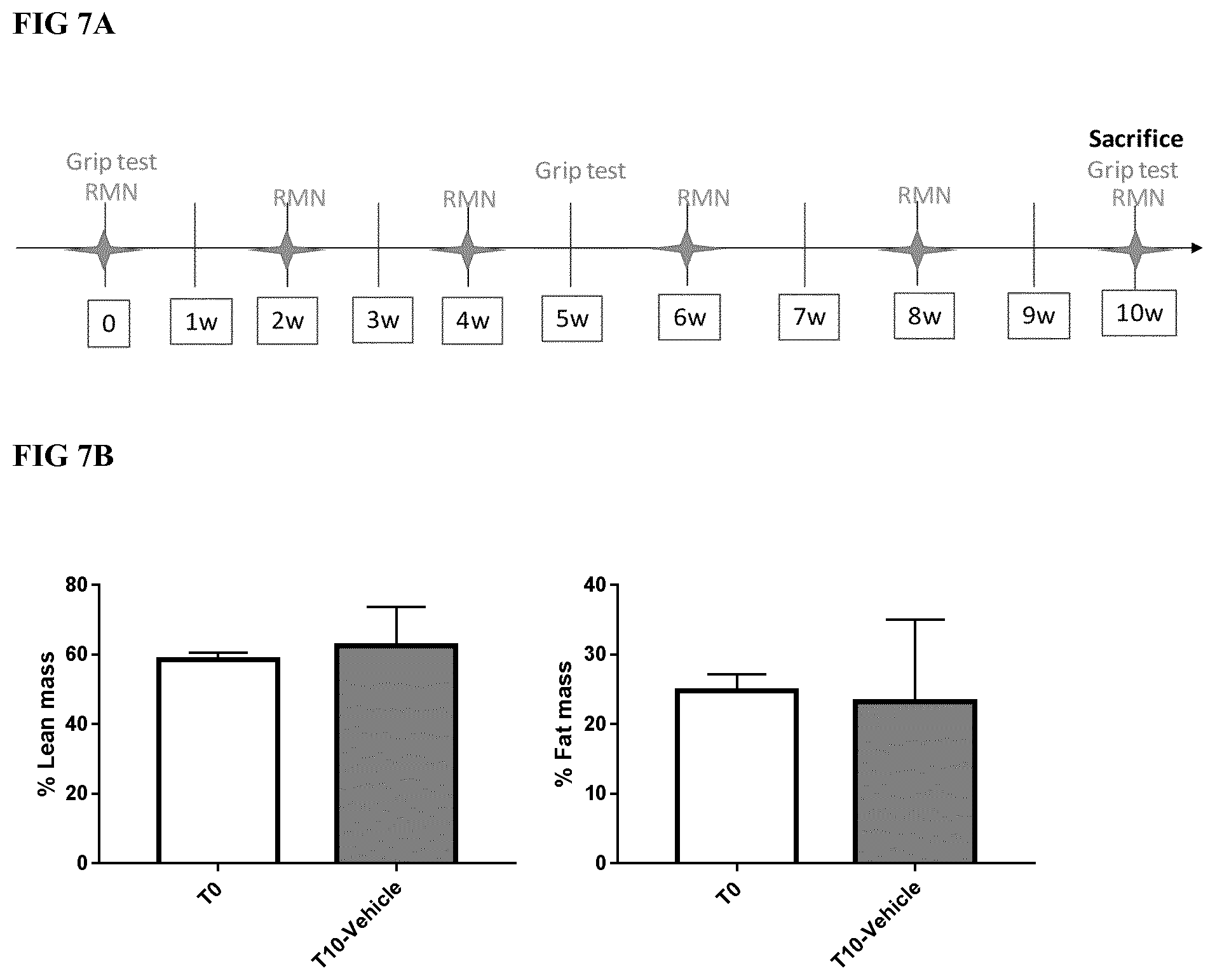 Patent US12496328 Figure 15 – Compositions for the treatment of sarcopenia or disuse atrophy