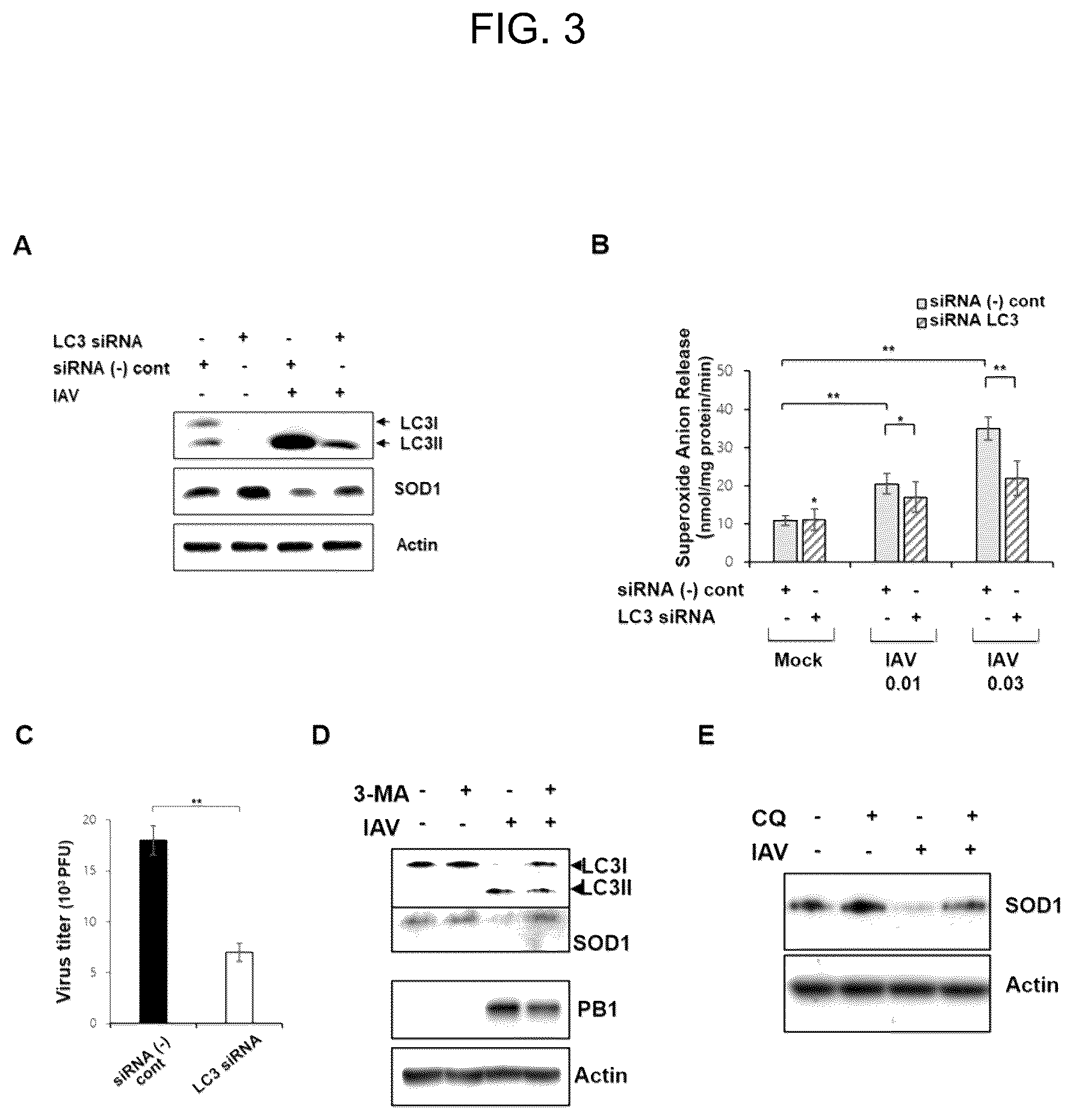 Patent US12496332 Figure 2 – Composition for preventing, treating, or ameliorating viral infection disease, containing a complex of endoplasmic reticulum (ER) stress inhibitor and reactive oxygen species scavenger as active ingredients