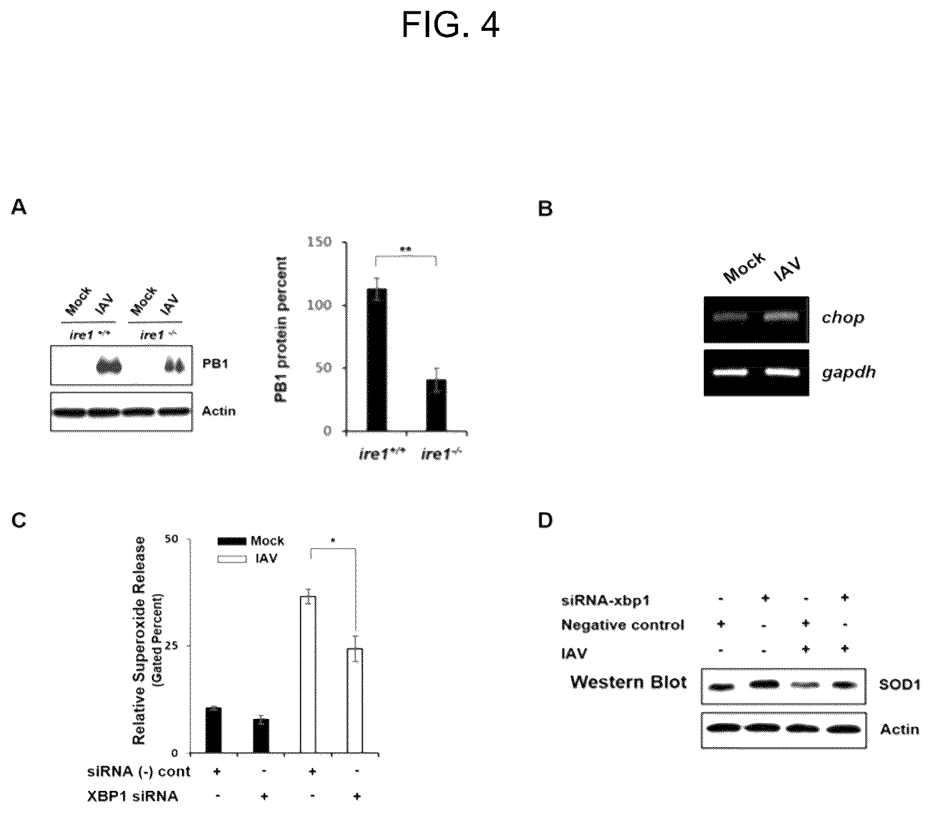 Patent US12496332 Figure 3 – Composition for preventing, treating, or ameliorating viral infection disease, containing a complex of endoplasmic reticulum (ER) stress inhibitor and reactive oxygen species scavenger as active ingredients