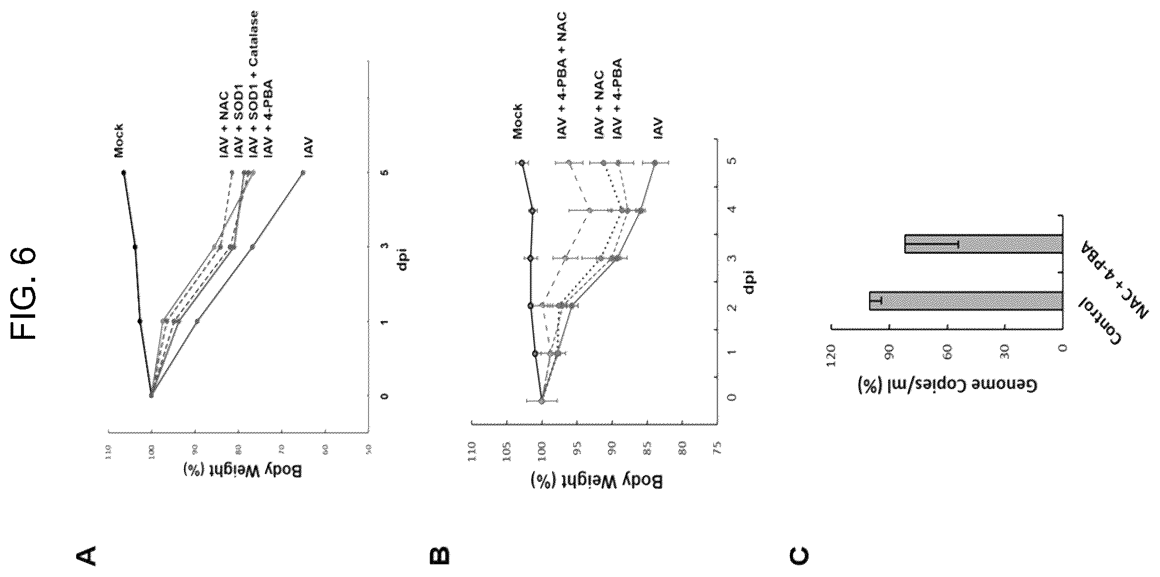 Patent US12496332 Figure 5 – Composition for preventing, treating, or ameliorating viral infection disease, containing a complex of endoplasmic reticulum (ER) stress inhibitor and reactive oxygen species scavenger as active ingredients