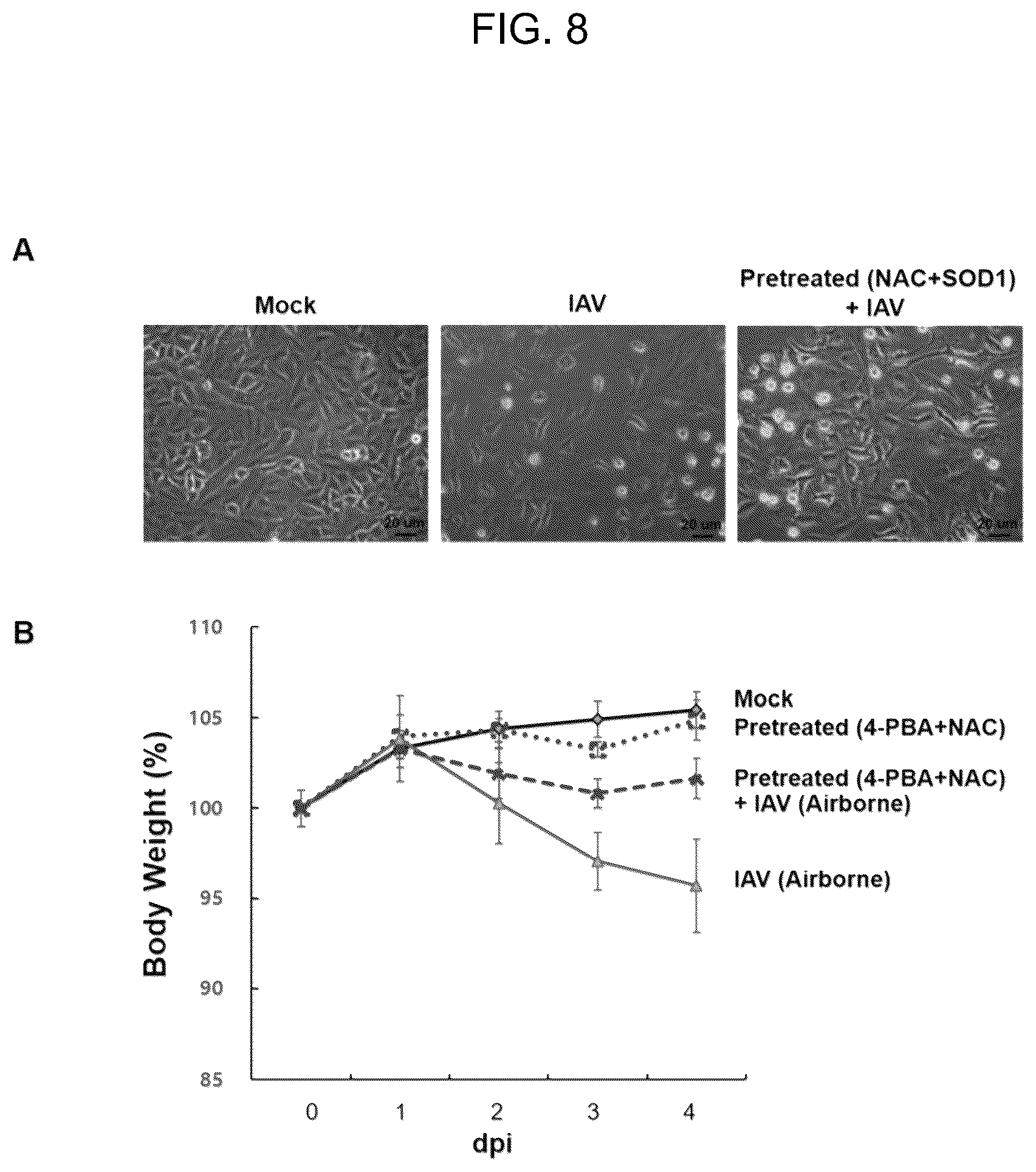 Patent US12496332 Figure 7 – Composition for preventing, treating, or ameliorating viral infection disease, containing a complex of endoplasmic reticulum (ER) stress inhibitor and reactive oxygen species scavenger as active ingredients