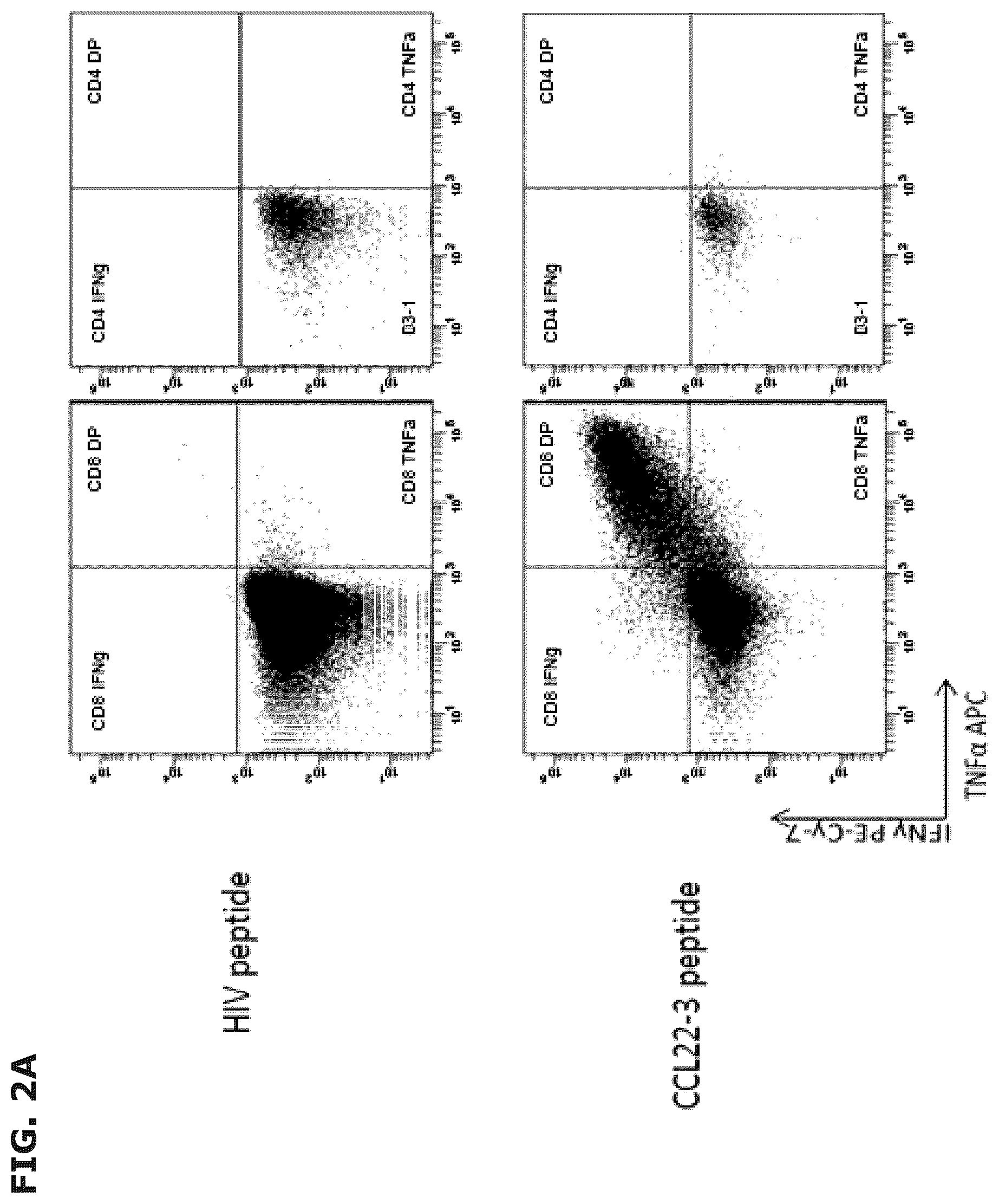 Patent US12496333 Figure 2 – Vaccine compositions comprising C-C motif chemokine 22 (CCL22) or fragments thereof