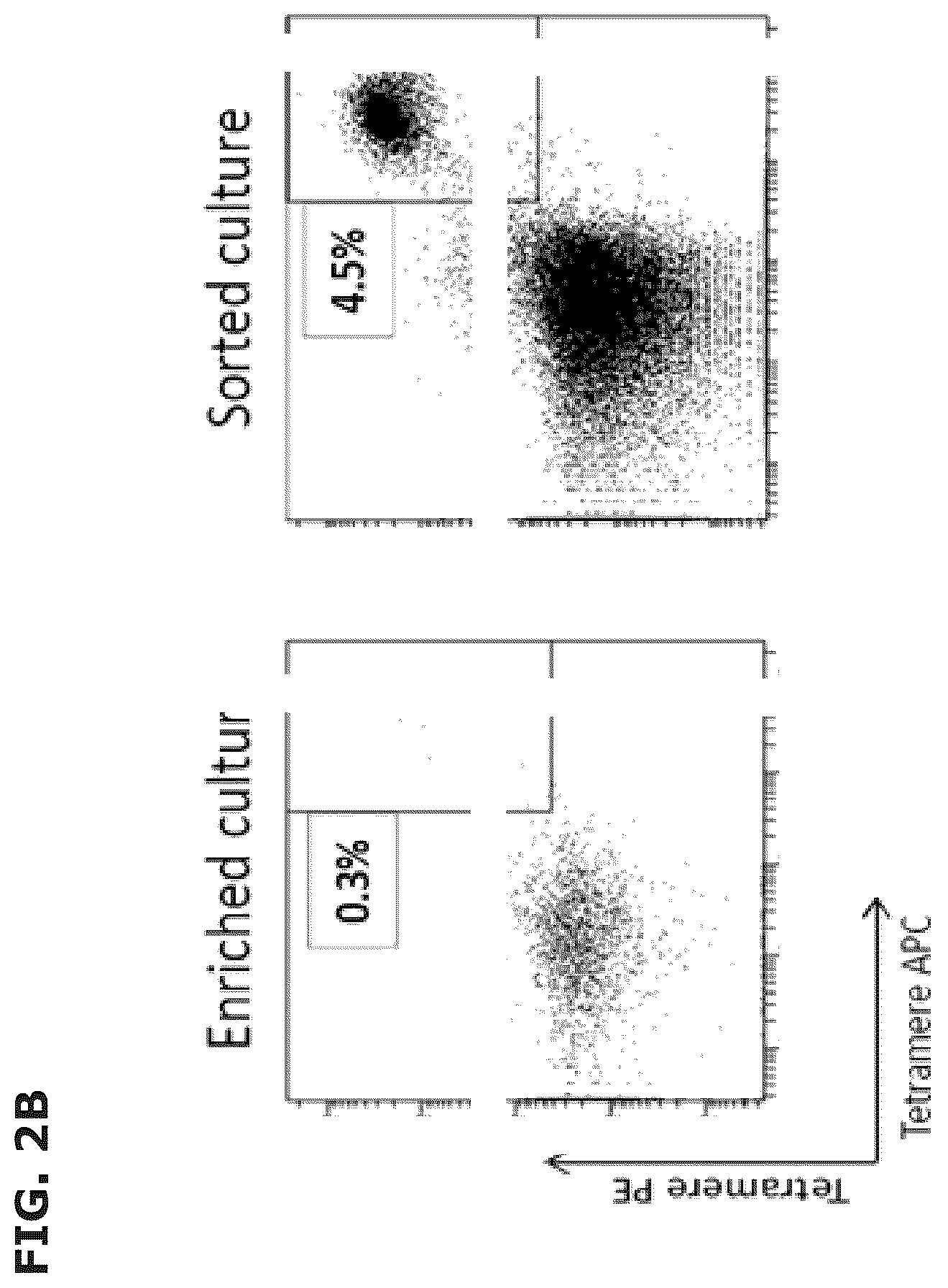 Patent US12496333 Figure 3 – Vaccine compositions comprising C-C motif chemokine 22 (CCL22) or fragments thereof