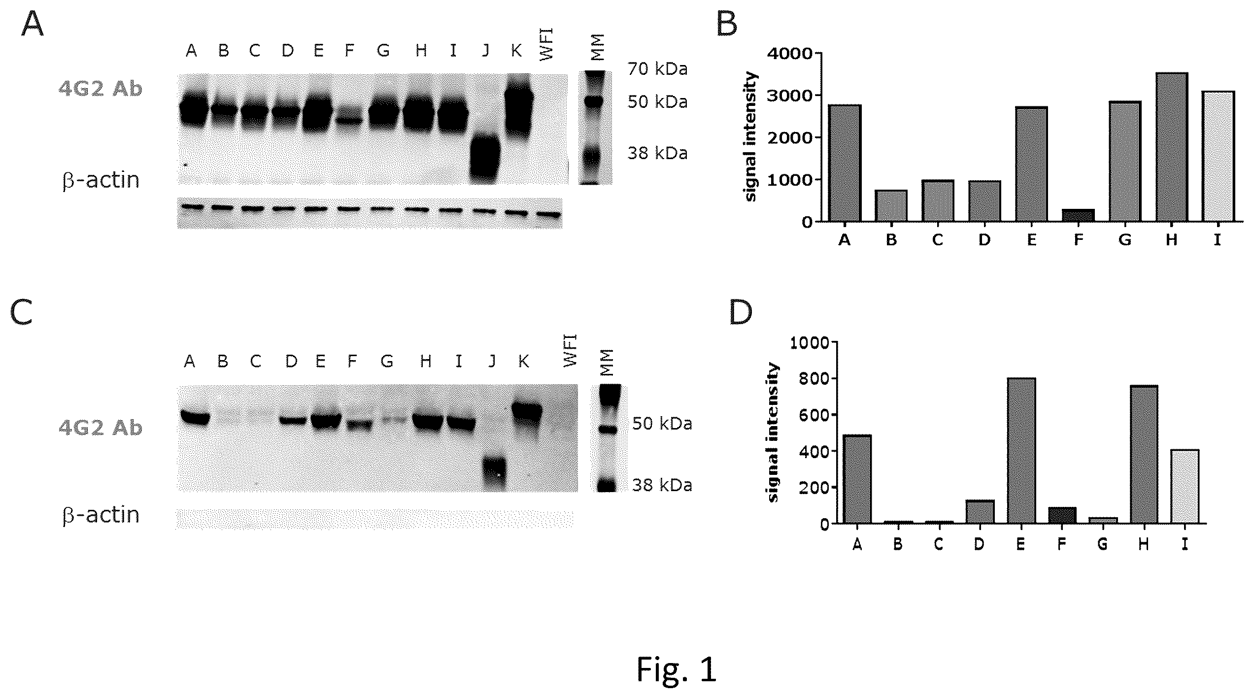 Patent US12496335 Figure 1 – Zika virus vaccine