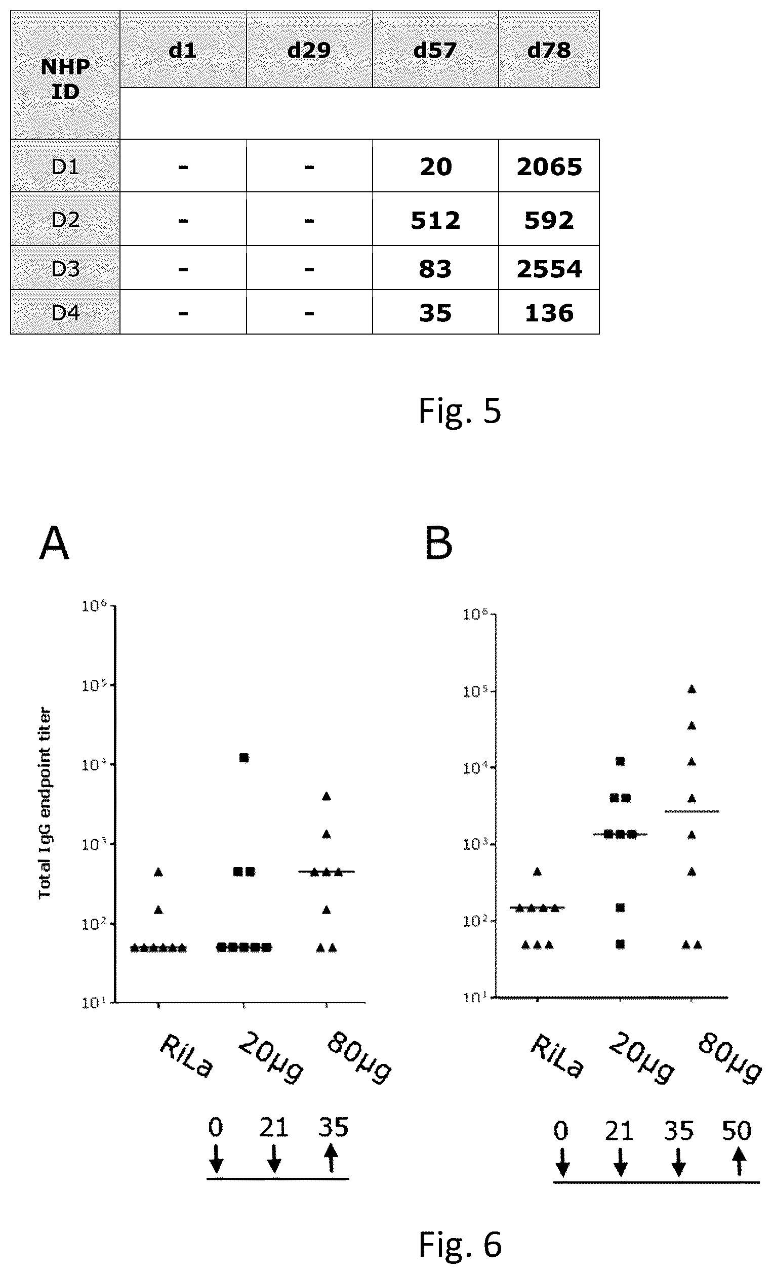 Patent US12496335 Figure 5 – Zika virus vaccine