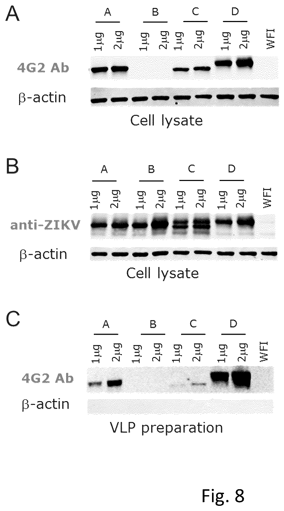 Patent US12496335 Figure 7 – Zika virus vaccine