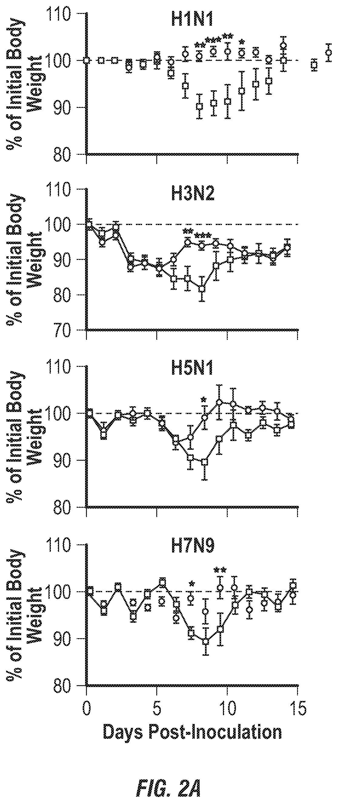 Patent US12496336 Figure 2 – Peptide vaccine based on a new universal influenza a hemagglutinin head domain epitope and human monoclonal antibodies binding thereto