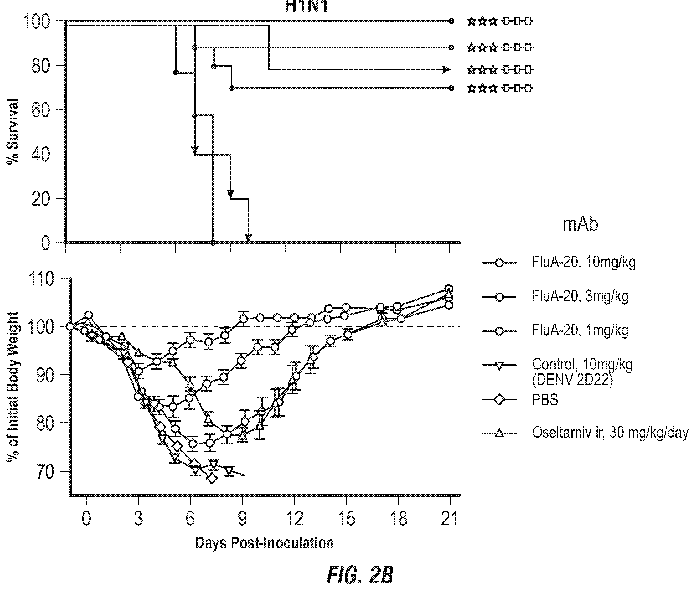 Patent US12496336 Figure 3 – Peptide vaccine based on a new universal influenza a hemagglutinin head domain epitope and human monoclonal antibodies binding thereto