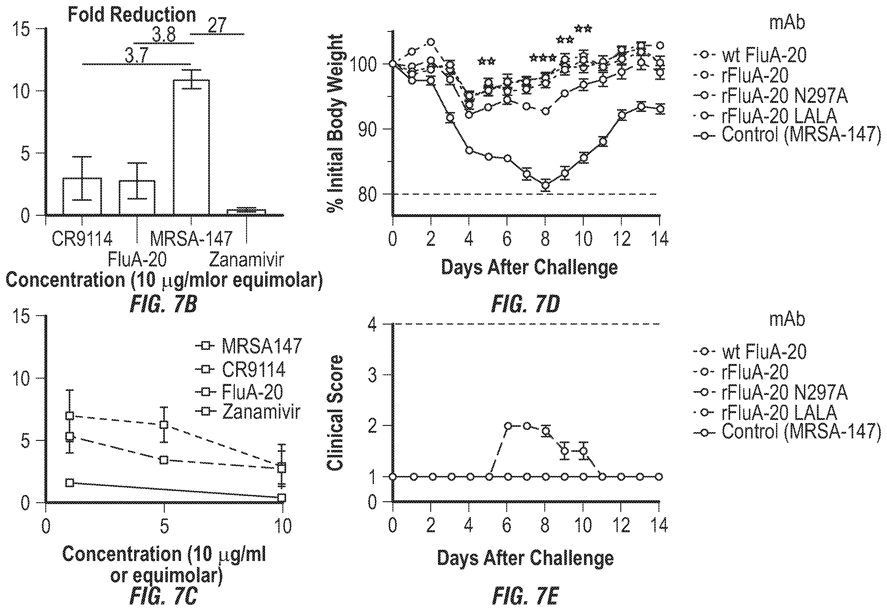 Patent US12496336 Figure 15 – Peptide vaccine based on a new universal influenza a hemagglutinin head domain epitope and human monoclonal antibodies binding thereto
