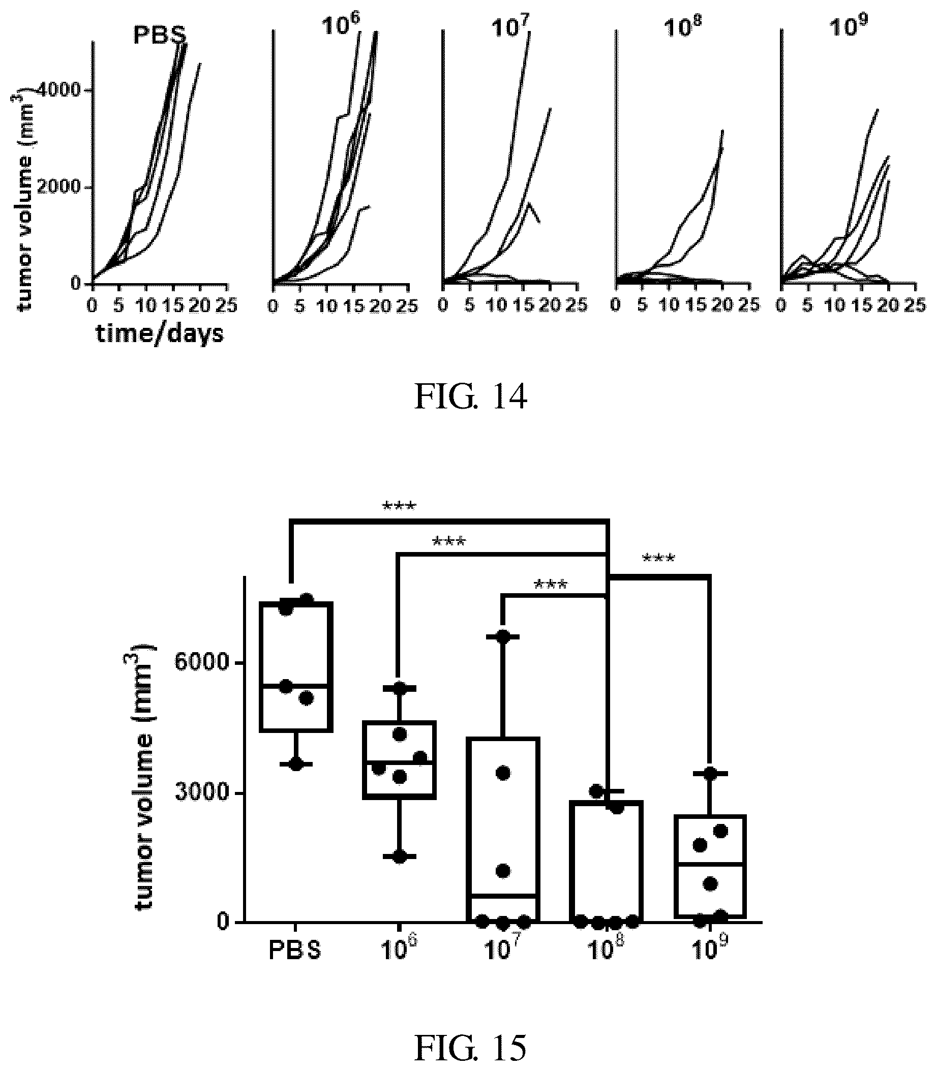 Patent US12496337 Figure 7 – Oncolytic virus vaccine and drug for treating tumors by combining oncolytic virus vaccine with immune cells