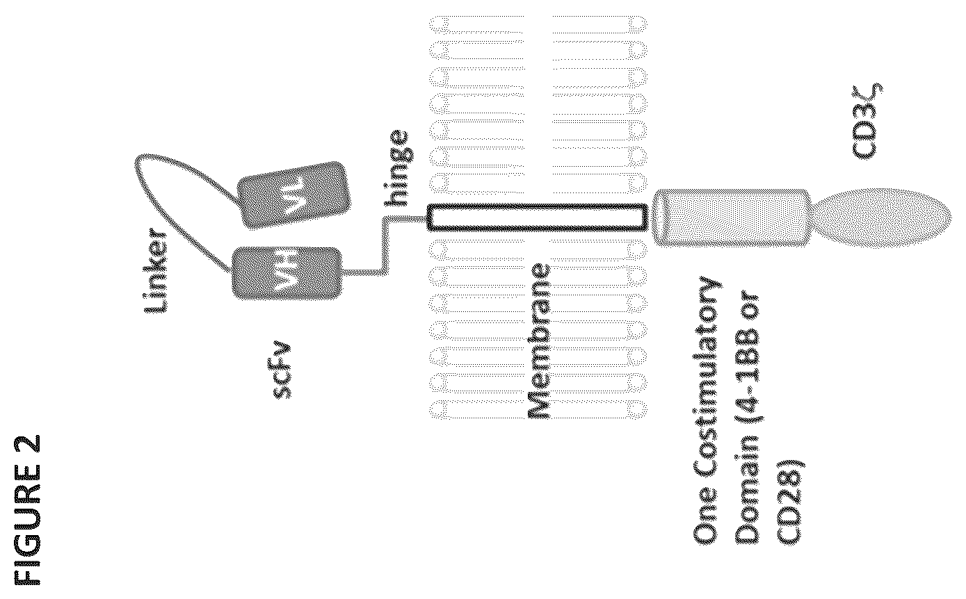 Patent US12496338 Figure 2 – CAR for treatment of HIV infection
