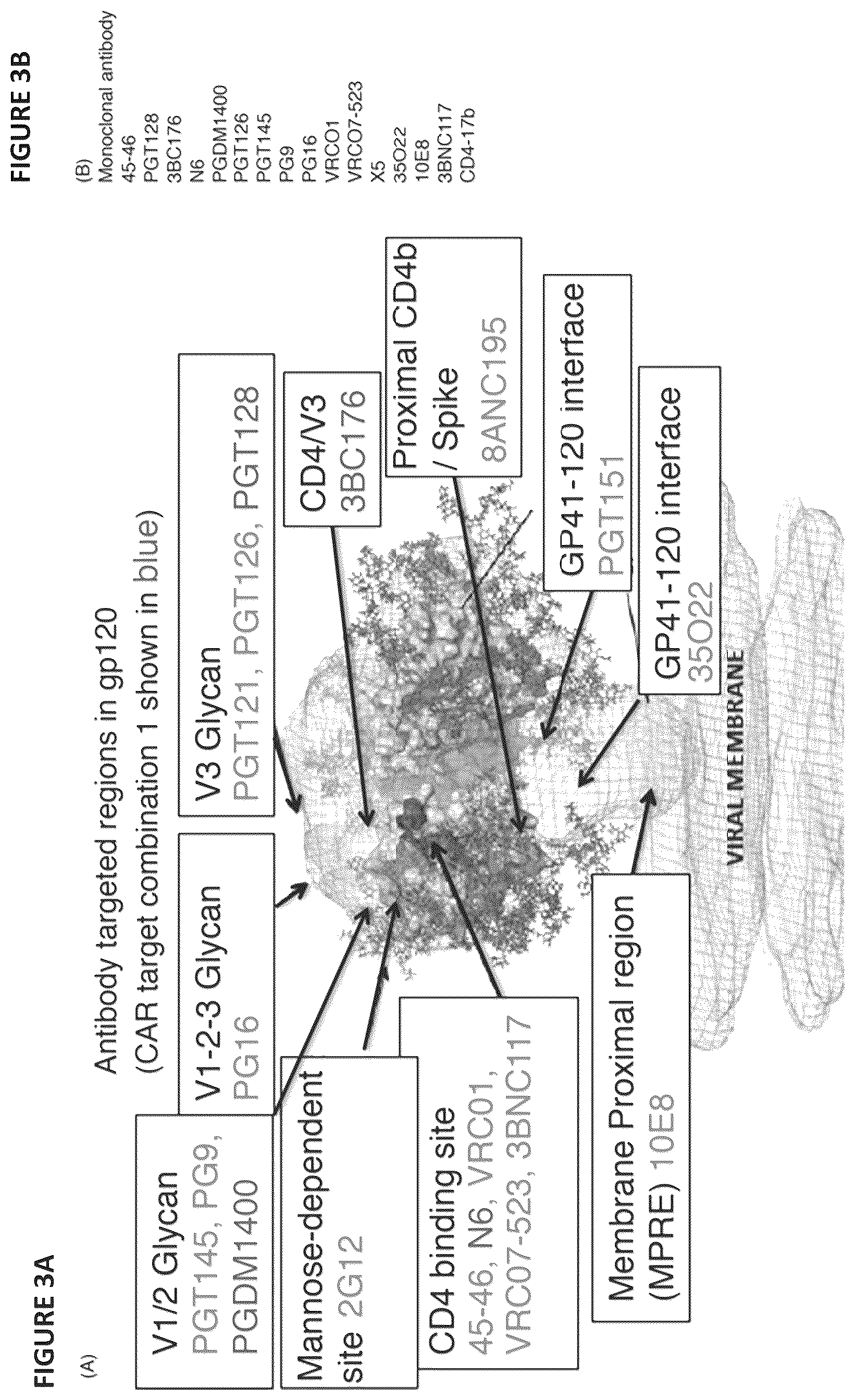 Patent US12496338 Figure 3 – CAR for treatment of HIV infection