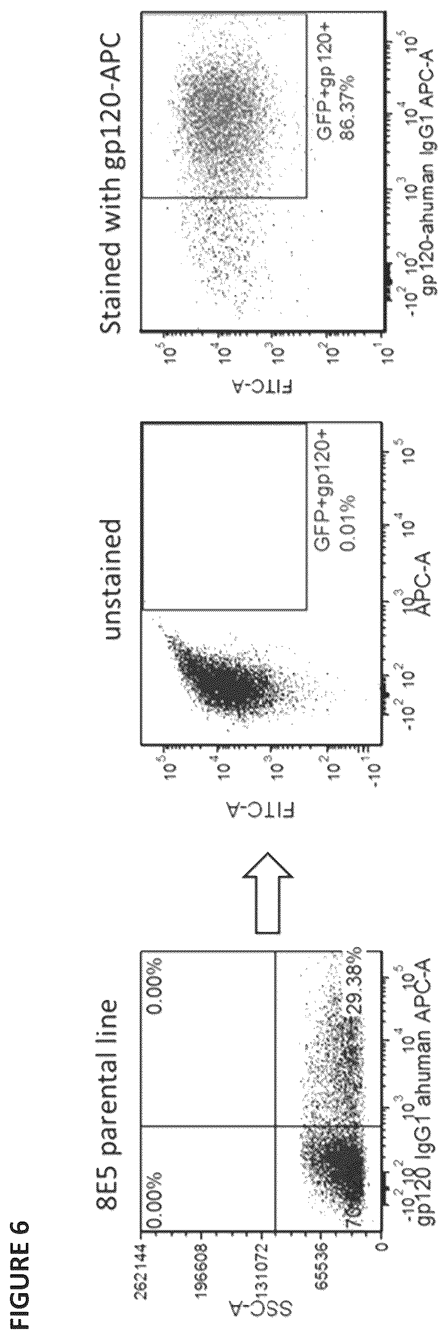 Patent US12496338 Figure 7 – CAR for treatment of HIV infection