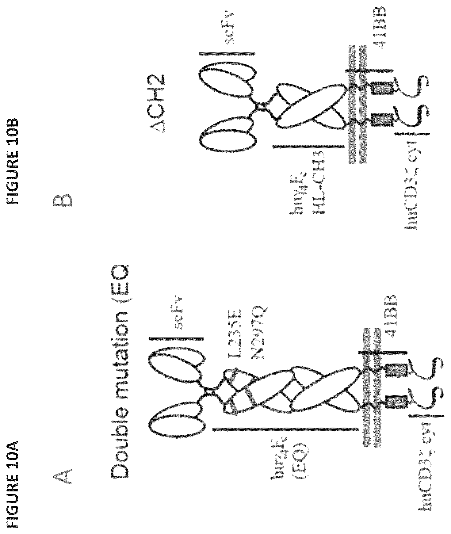 Patent US12496338 Figure 11 – CAR for treatment of HIV infection