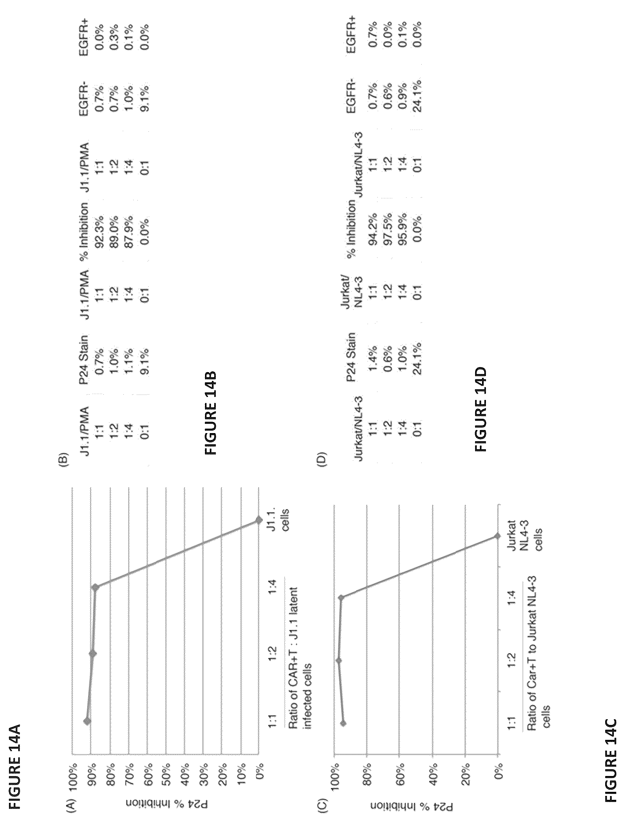 Patent US12496338 Figure 15 – CAR for treatment of HIV infection