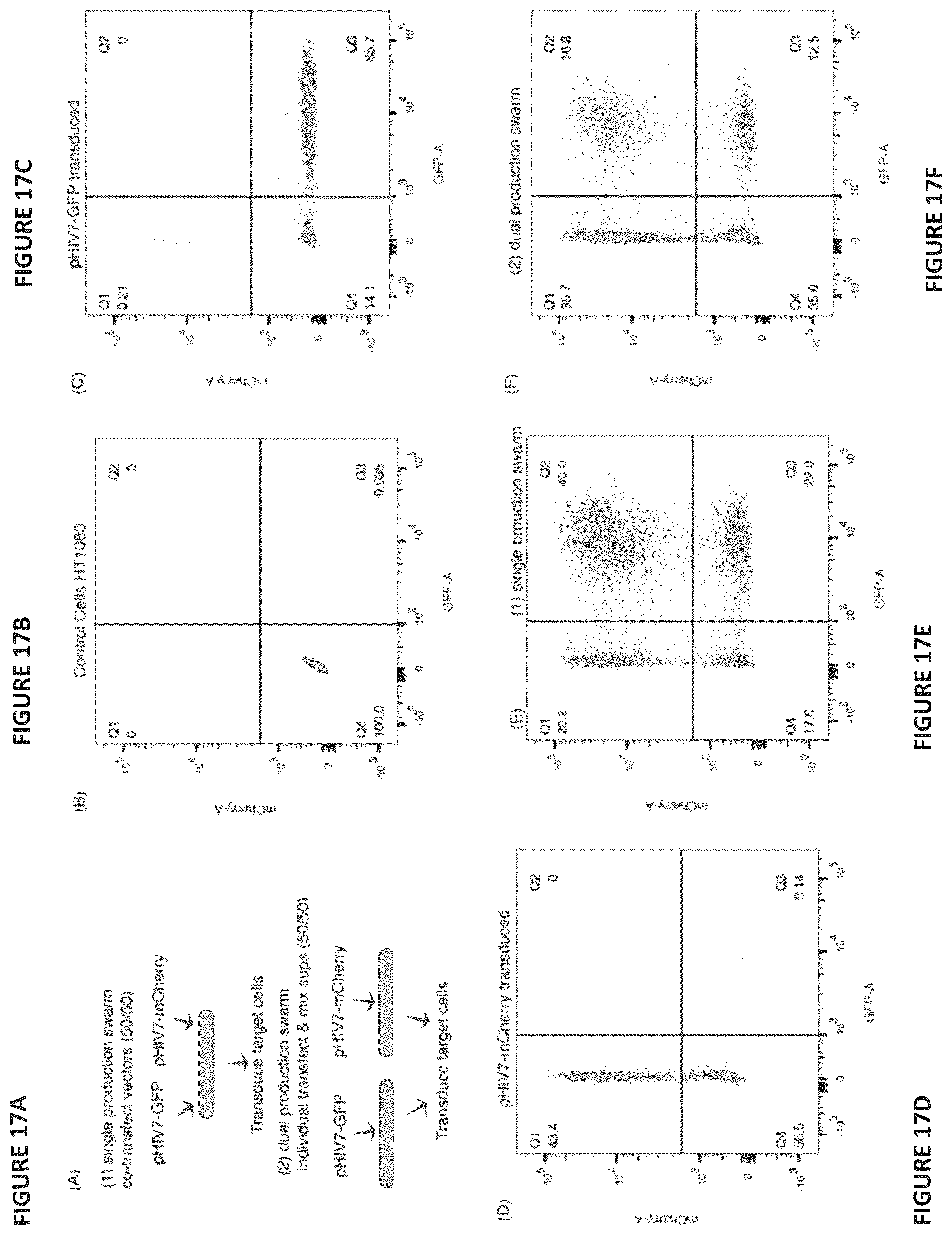 Patent US12496338 Figure 18 – CAR for treatment of HIV infection