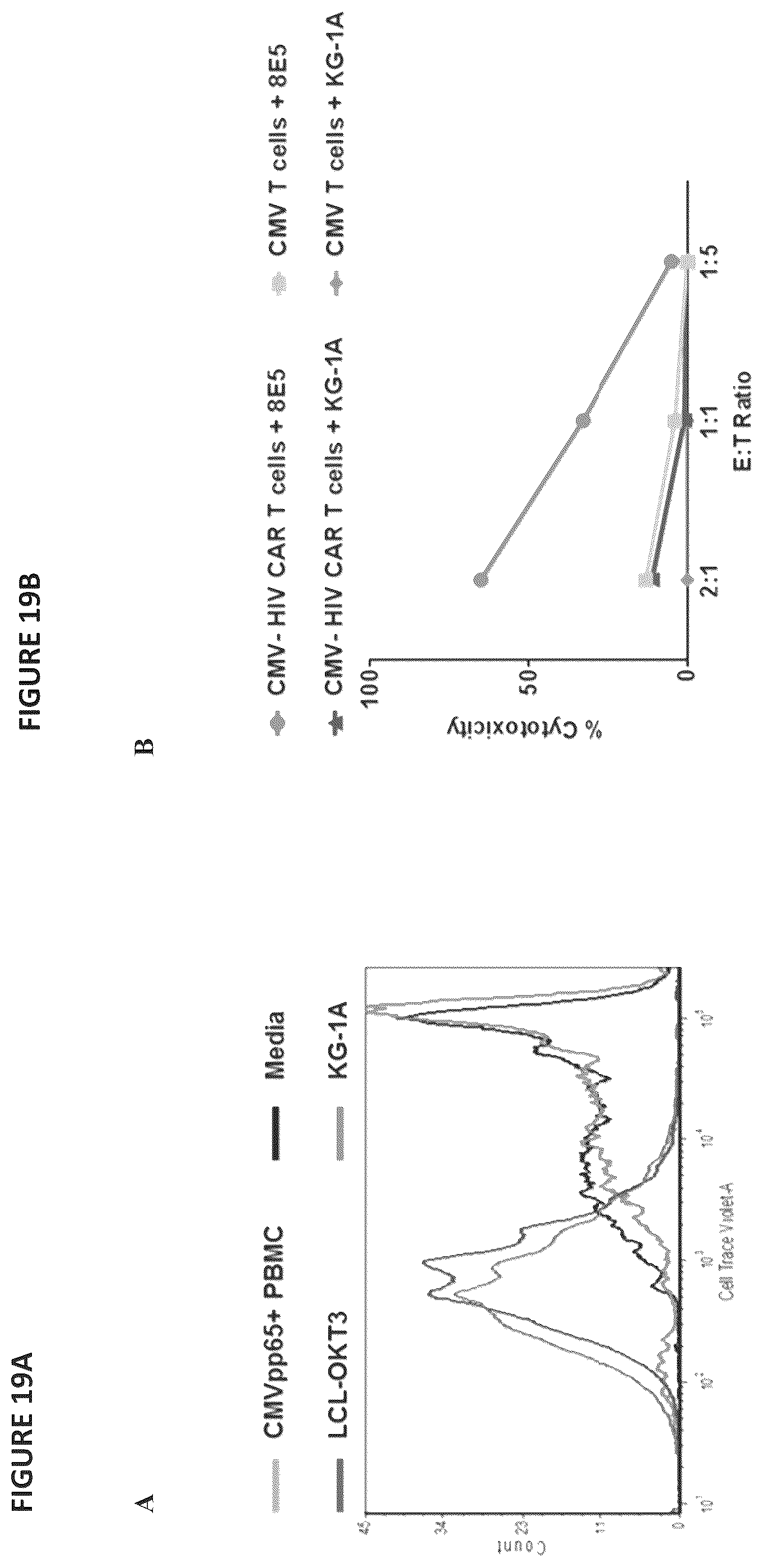 Patent US12496338 Figure 20 – CAR for treatment of HIV infection