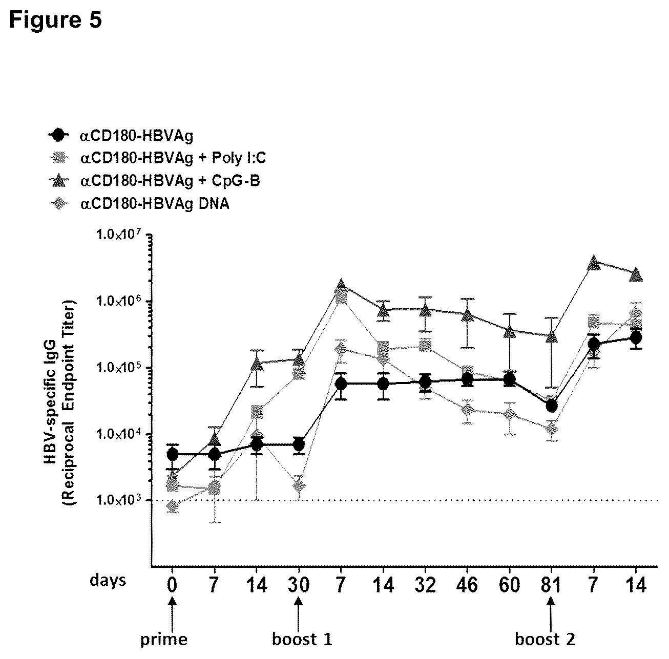 Patent US12496339 Figure 5 – Therapeutic vaccine for hepatitis b virus (HBV) using the HBV core antigen