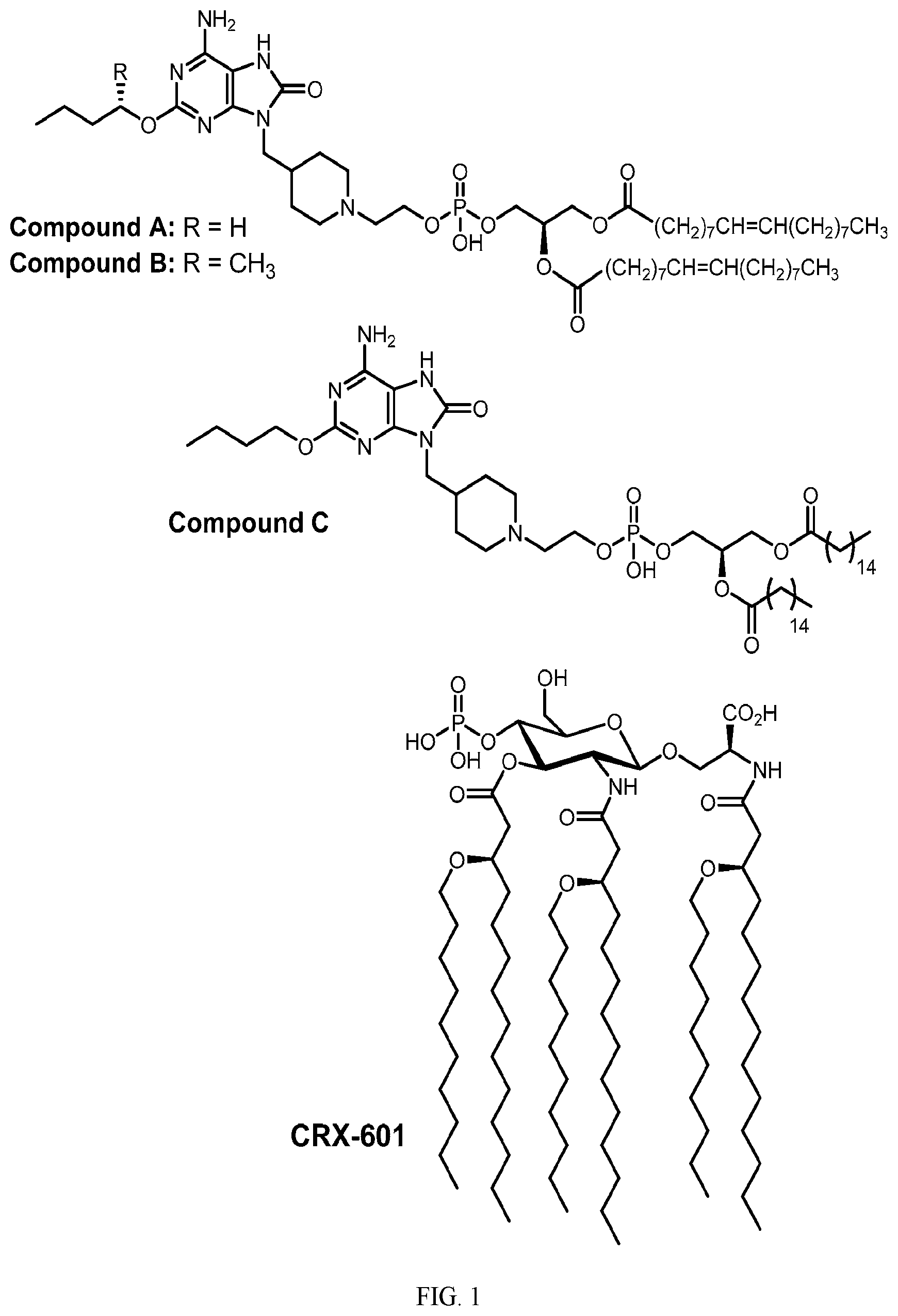 Patent US12496340 Figure 1 – Vaccine adjuvants based on TLR receptor ligands