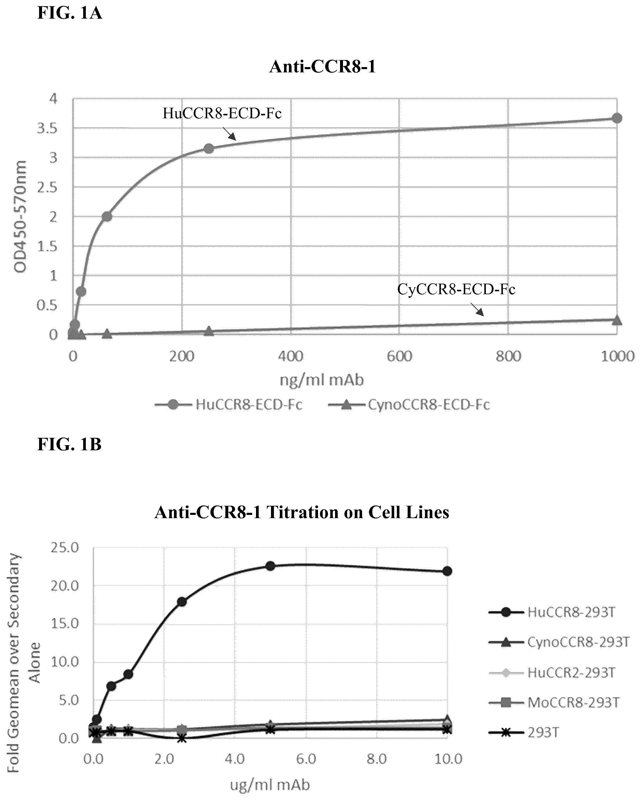 Patent US12496342 Figure 1 – Anti-CCR8 antibodies and uses thereof