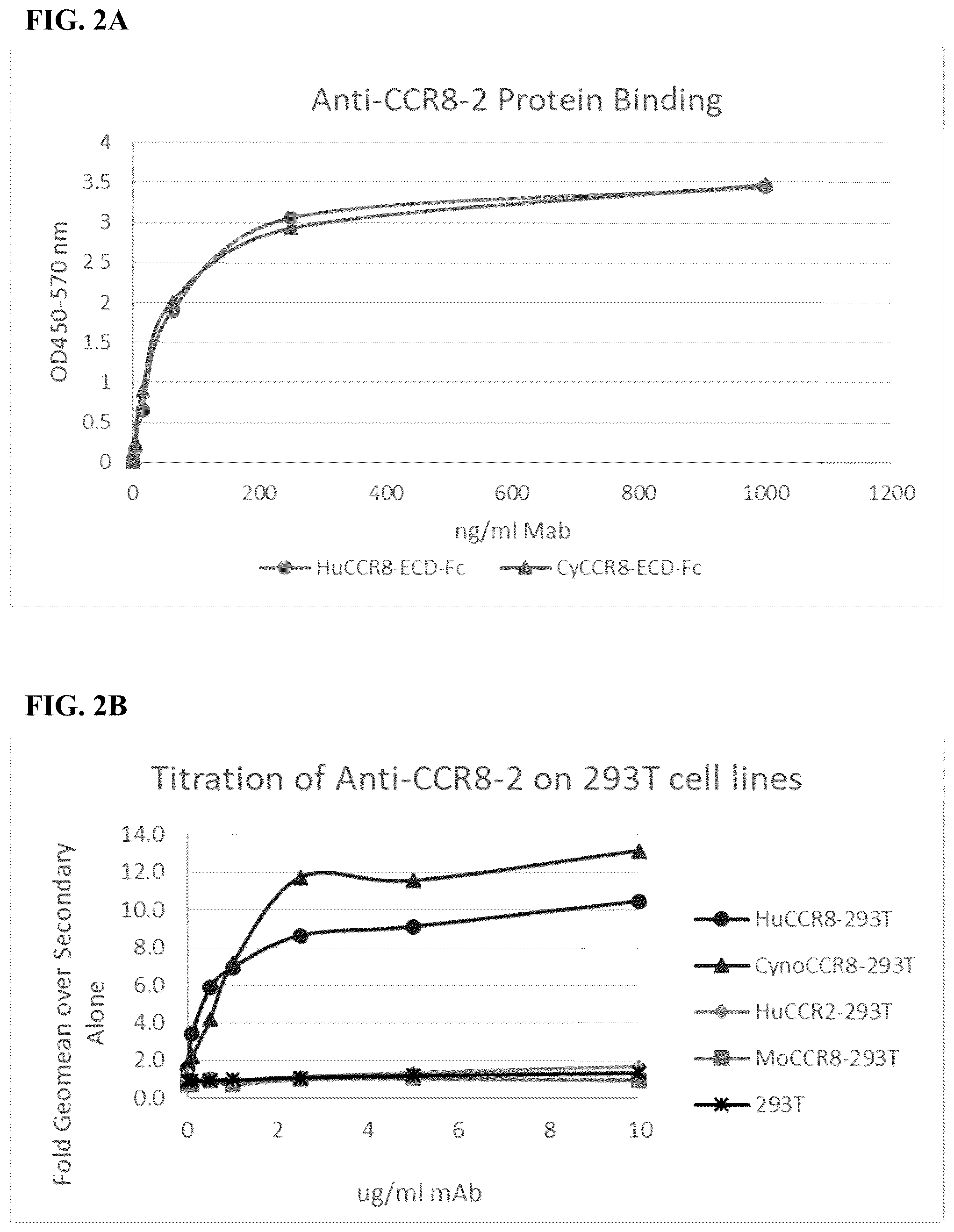 Patent US12496342 Figure 7 – Anti-CCR8 antibodies and uses thereof
