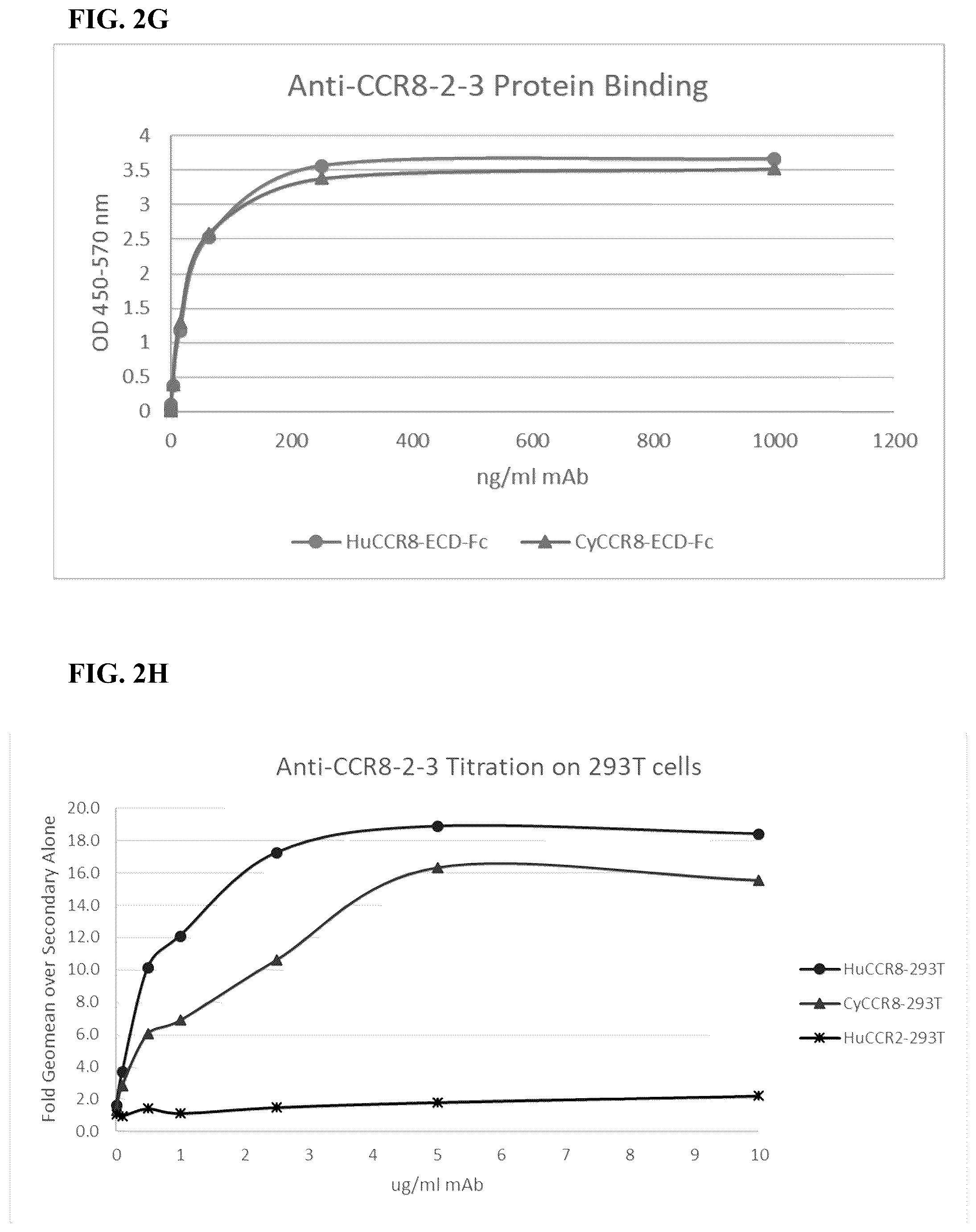 Patent US12496342 Figure 10 – Anti-CCR8 antibodies and uses thereof