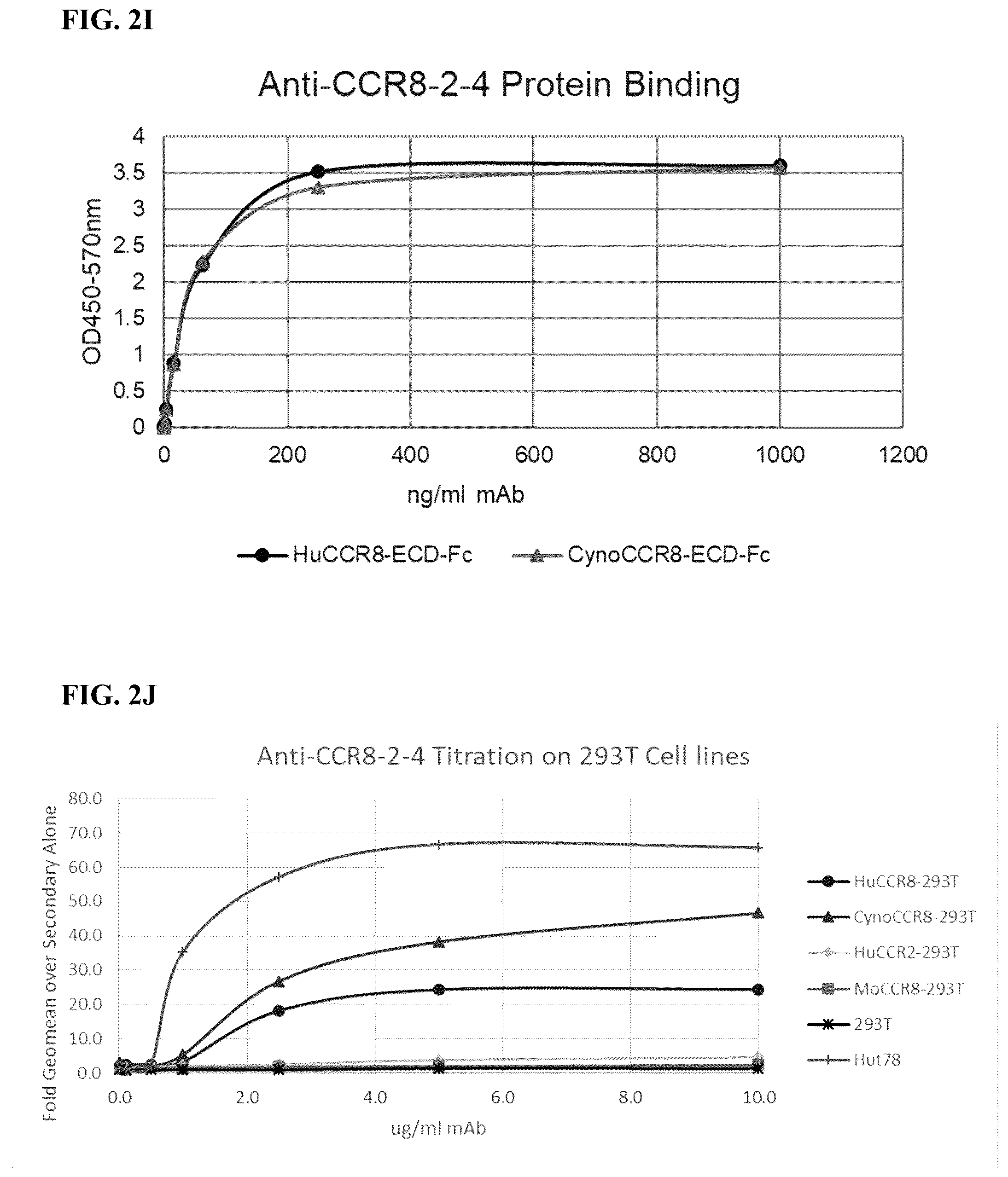Patent US12496342 Figure 11 – Anti-CCR8 antibodies and uses thereof