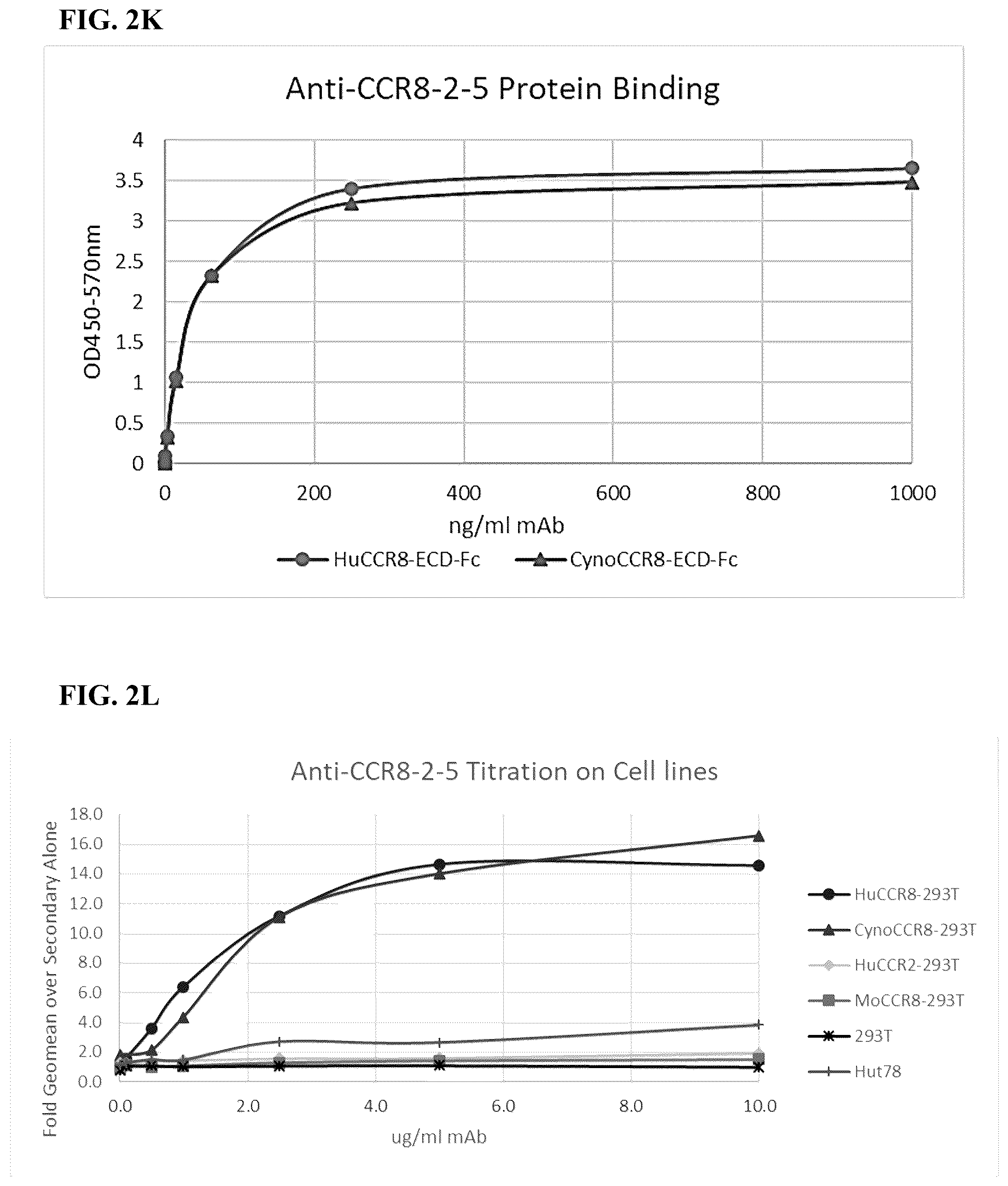 Patent US12496342 Figure 12 – Anti-CCR8 antibodies and uses thereof