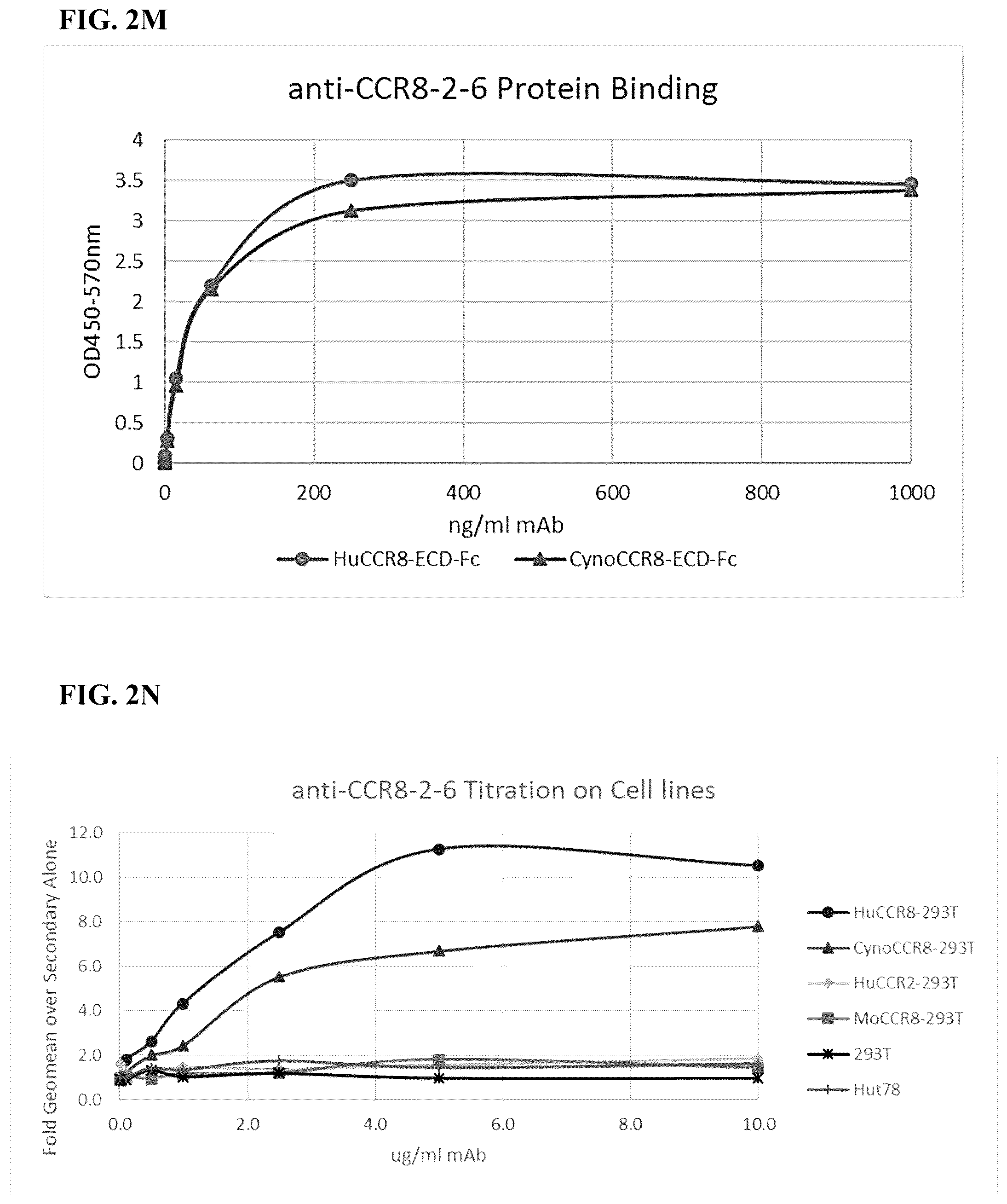 Patent US12496342 Figure 13 – Anti-CCR8 antibodies and uses thereof