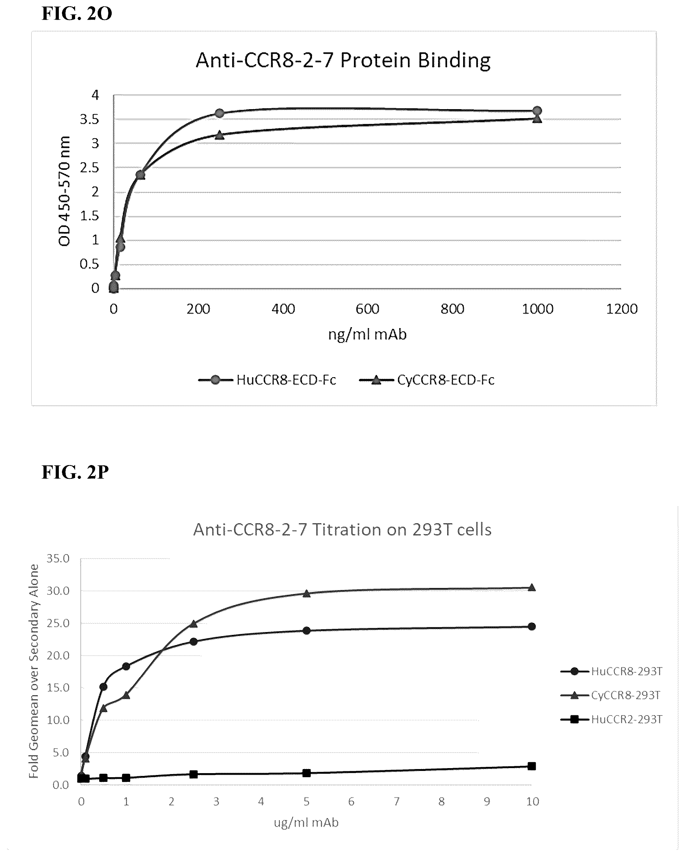 Patent US12496342 Figure 14 – Anti-CCR8 antibodies and uses thereof