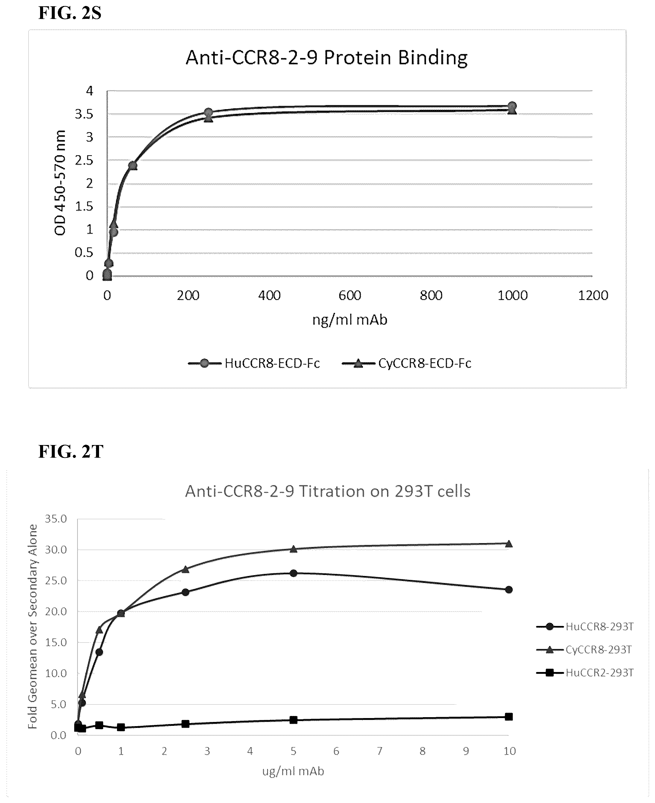Patent US12496342 Figure 16 – Anti-CCR8 antibodies and uses thereof