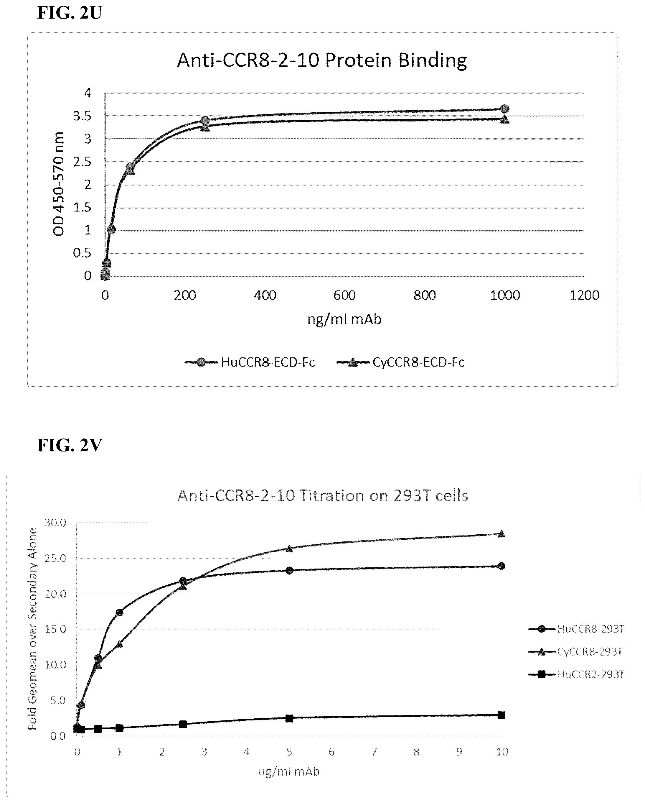 Patent US12496342 Figure 17 – Anti-CCR8 antibodies and uses thereof