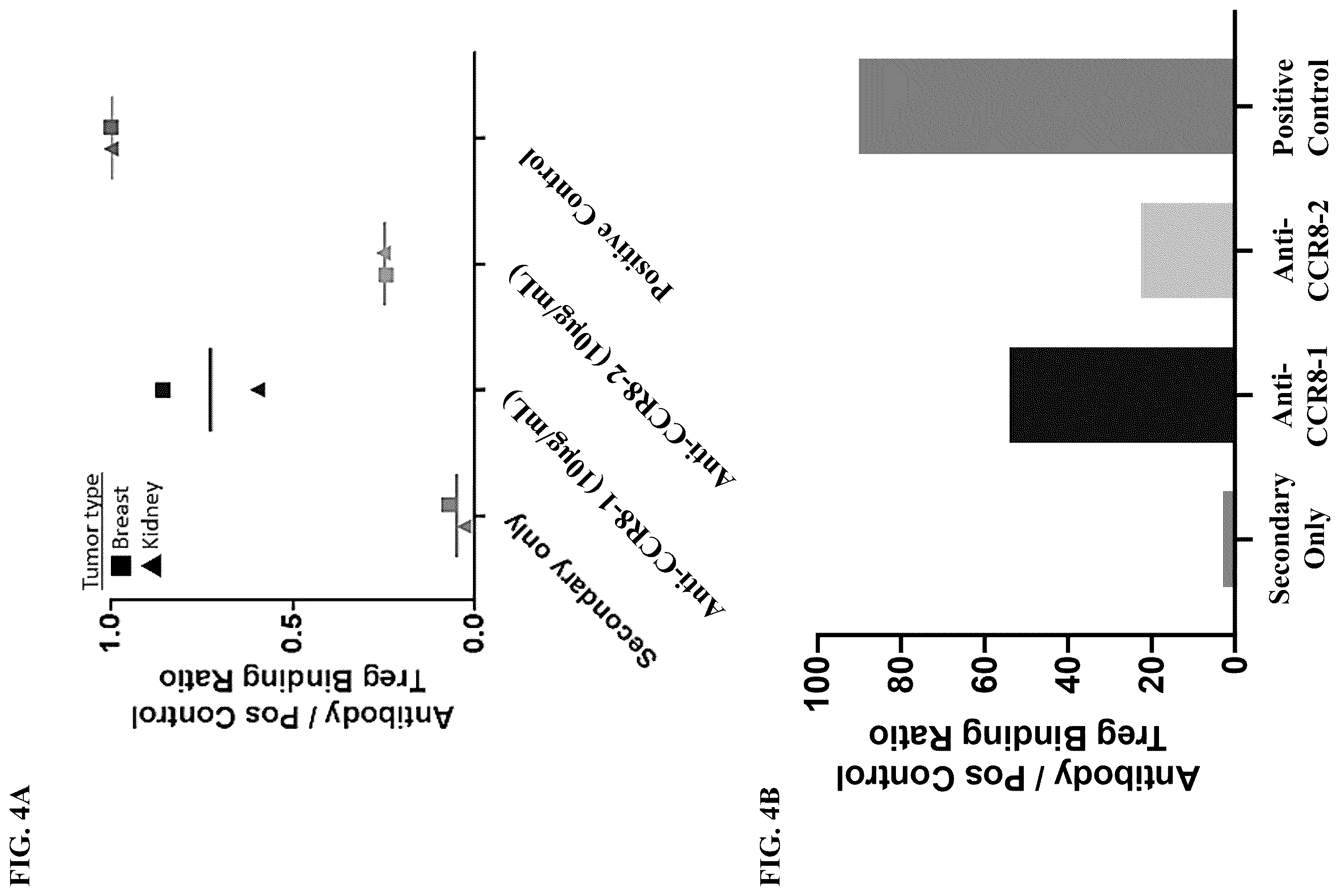 Patent US12496342 Figure 19 – Anti-CCR8 antibodies and uses thereof
