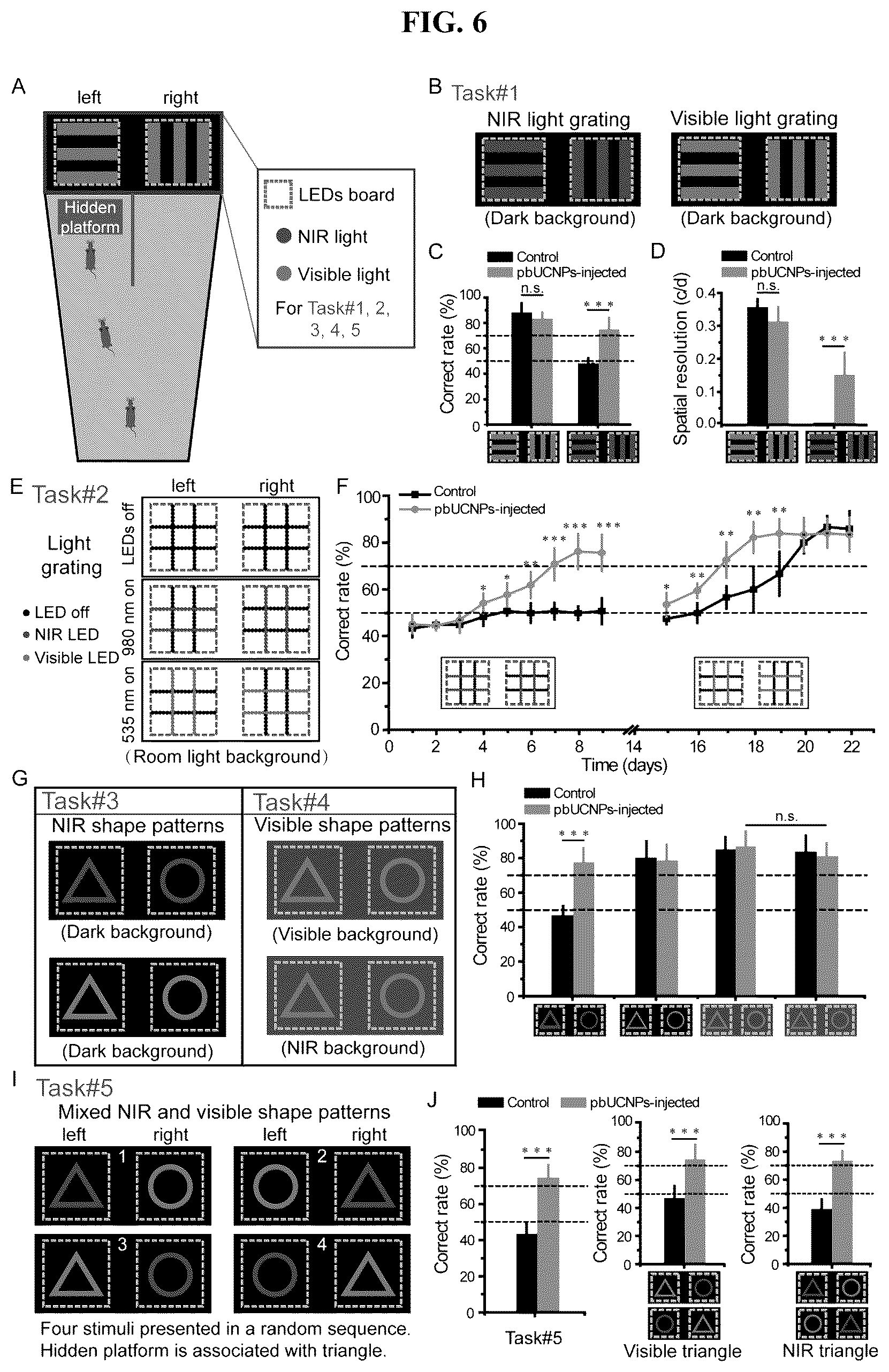 Patent US12496343 Figure 6 – Long-acting photoreceptor-binding nanoparticles, and compositions and methods thereof